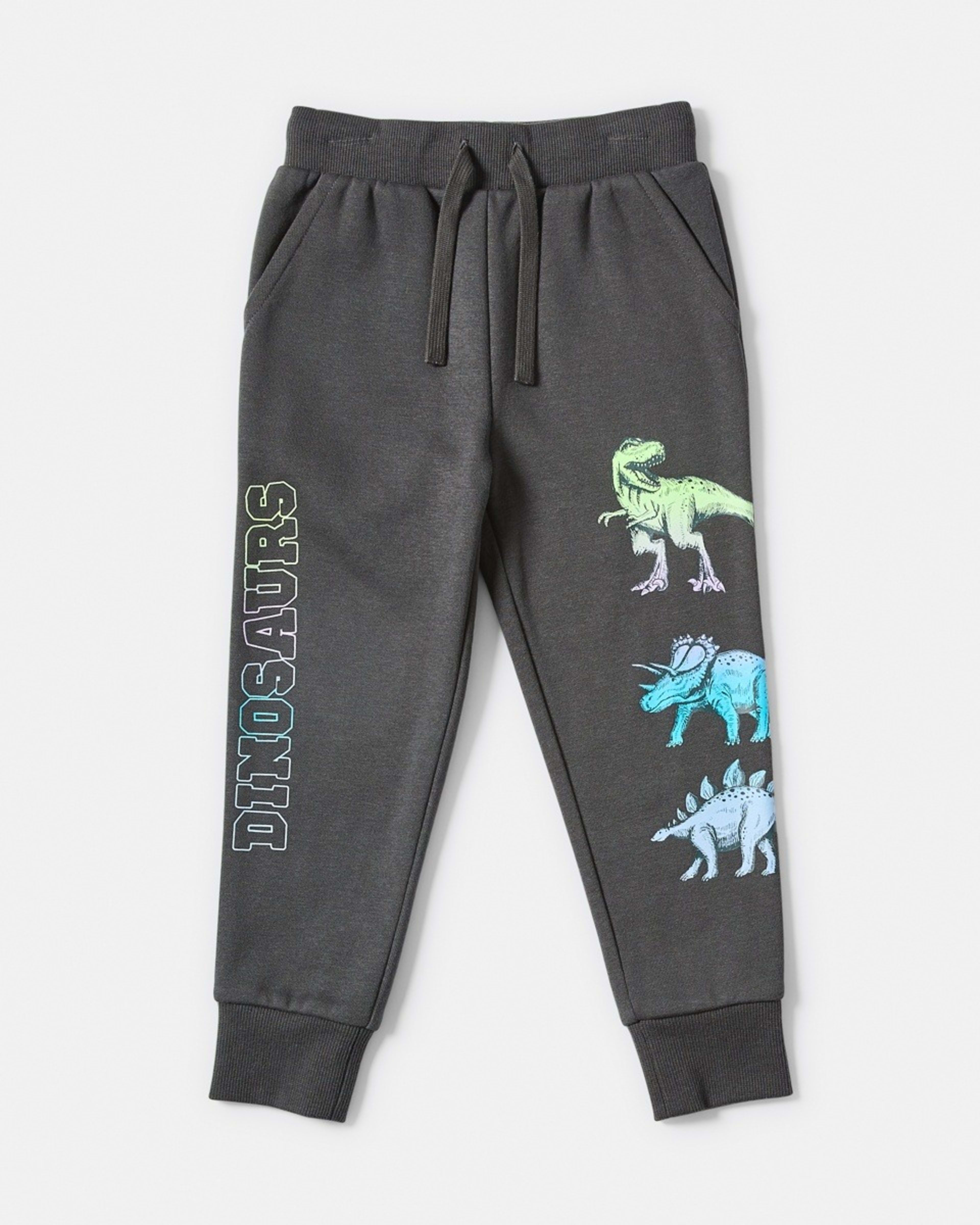 9 Print Trackpants Gry Dino, 9 of 10