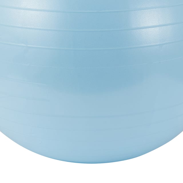 65cm Gym Ball Kmart