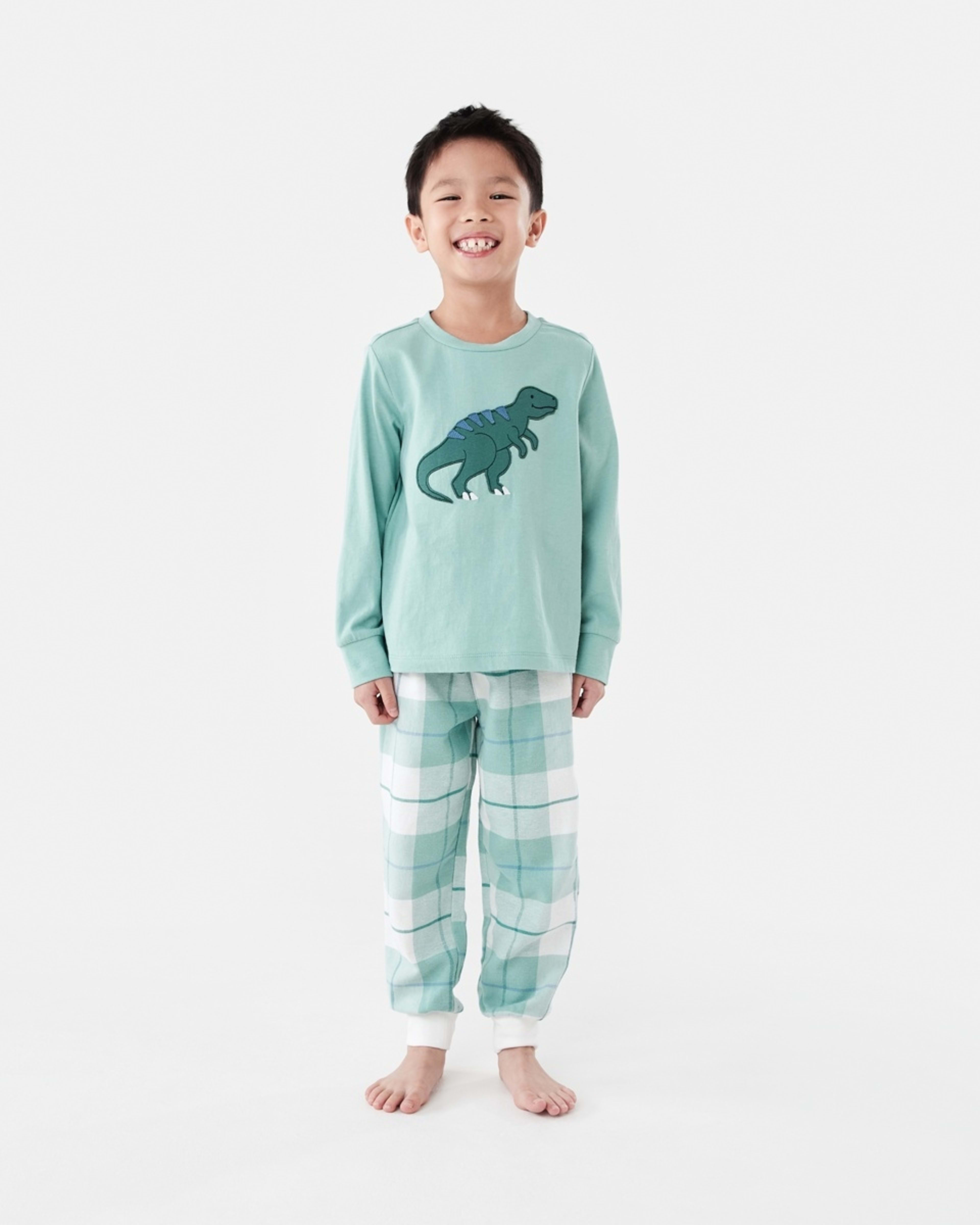1 Knit Flannel Pyjama Set Grn Dino