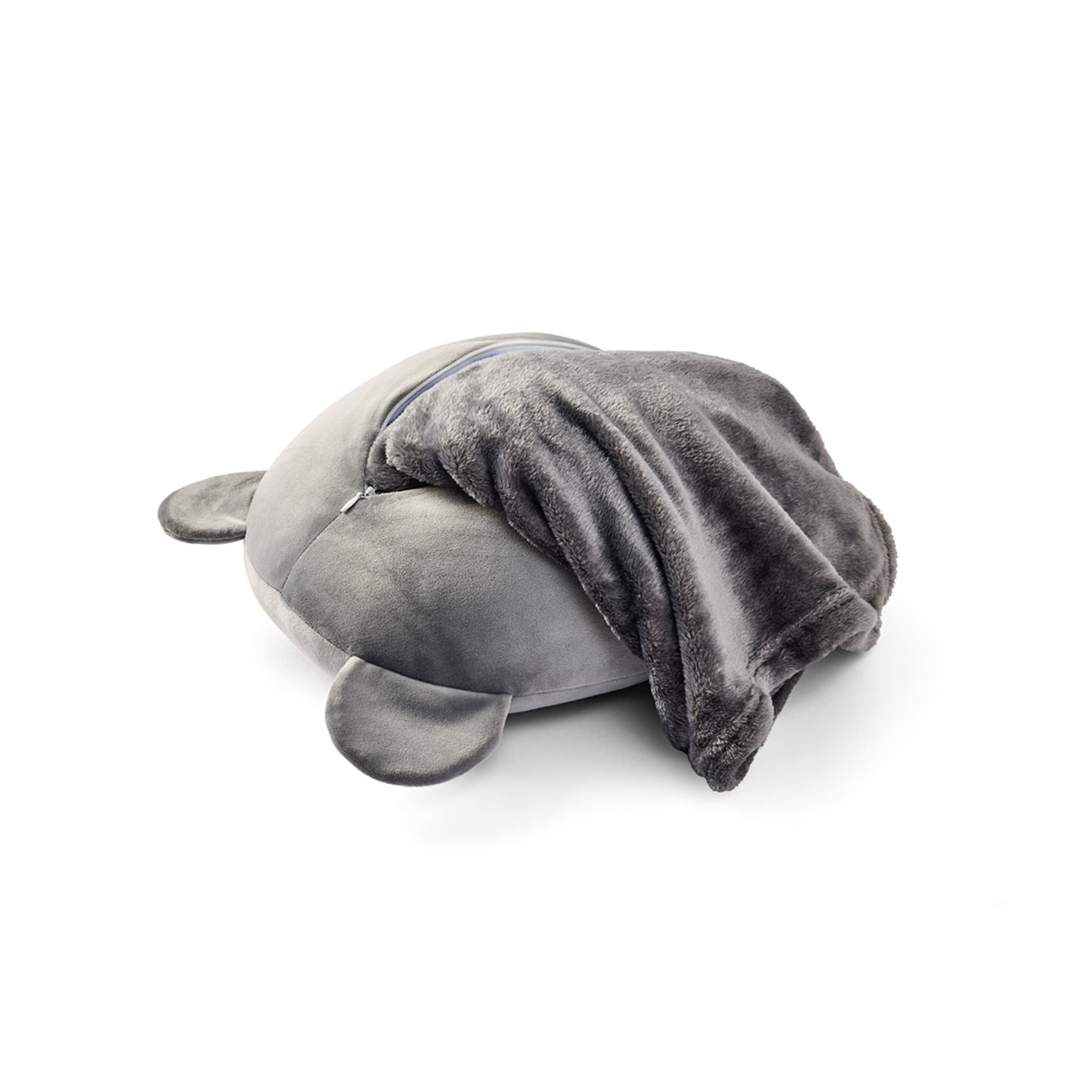 2in1 Koala Travel Blanket and Pillow Kmart