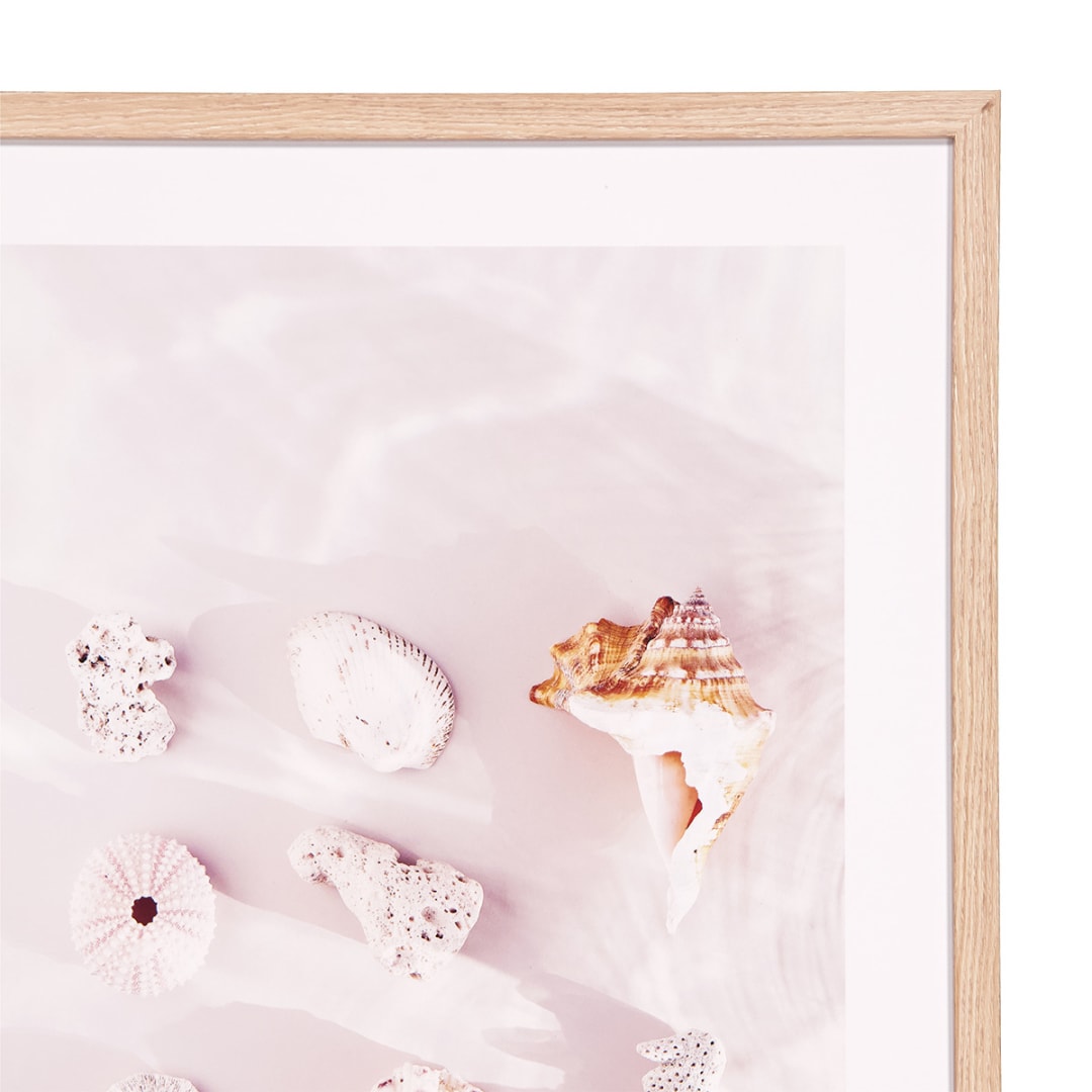 Beach Shells Framed Print Kmart