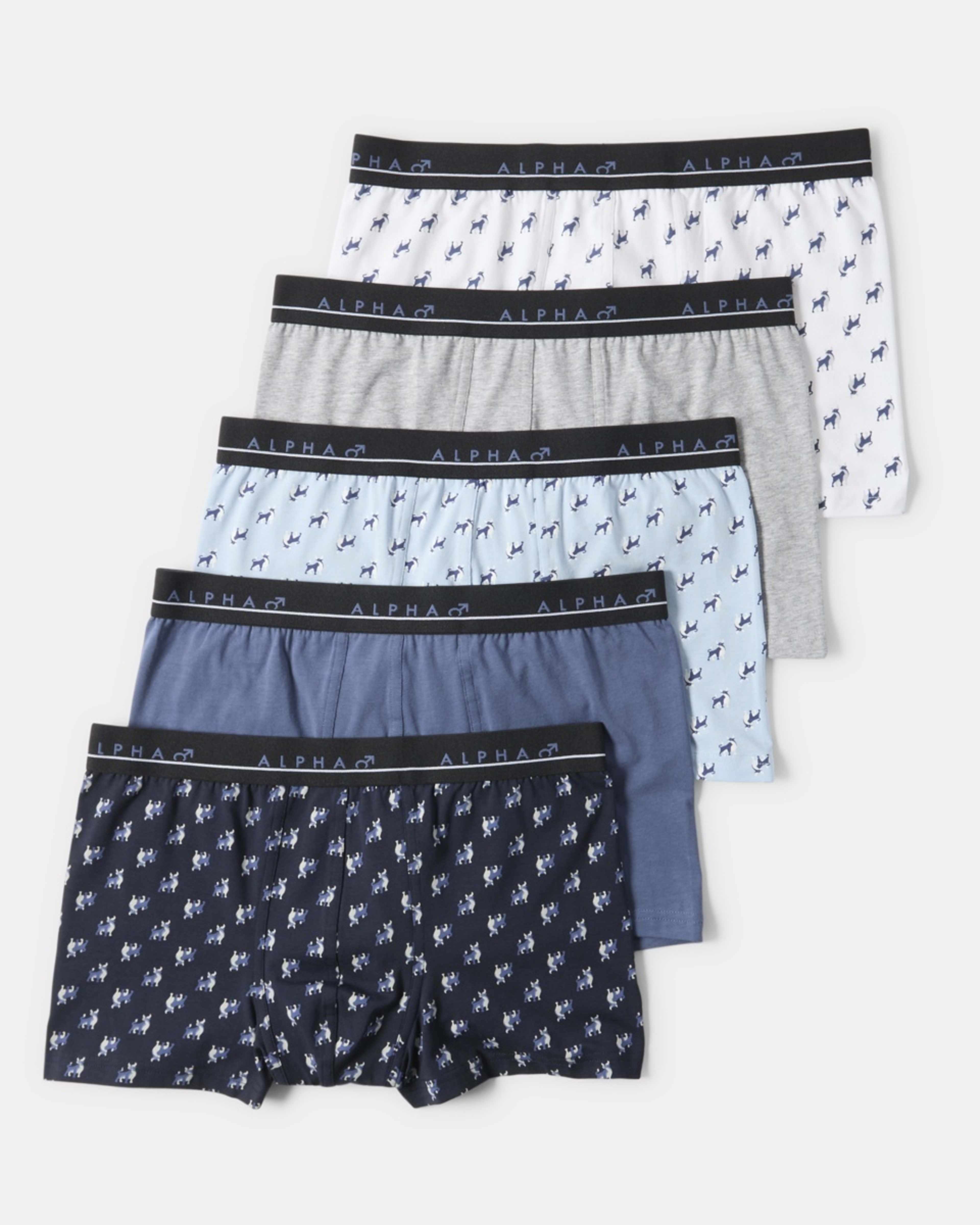 1 5 Pack Trunks BULL ICONS, 1 of 10