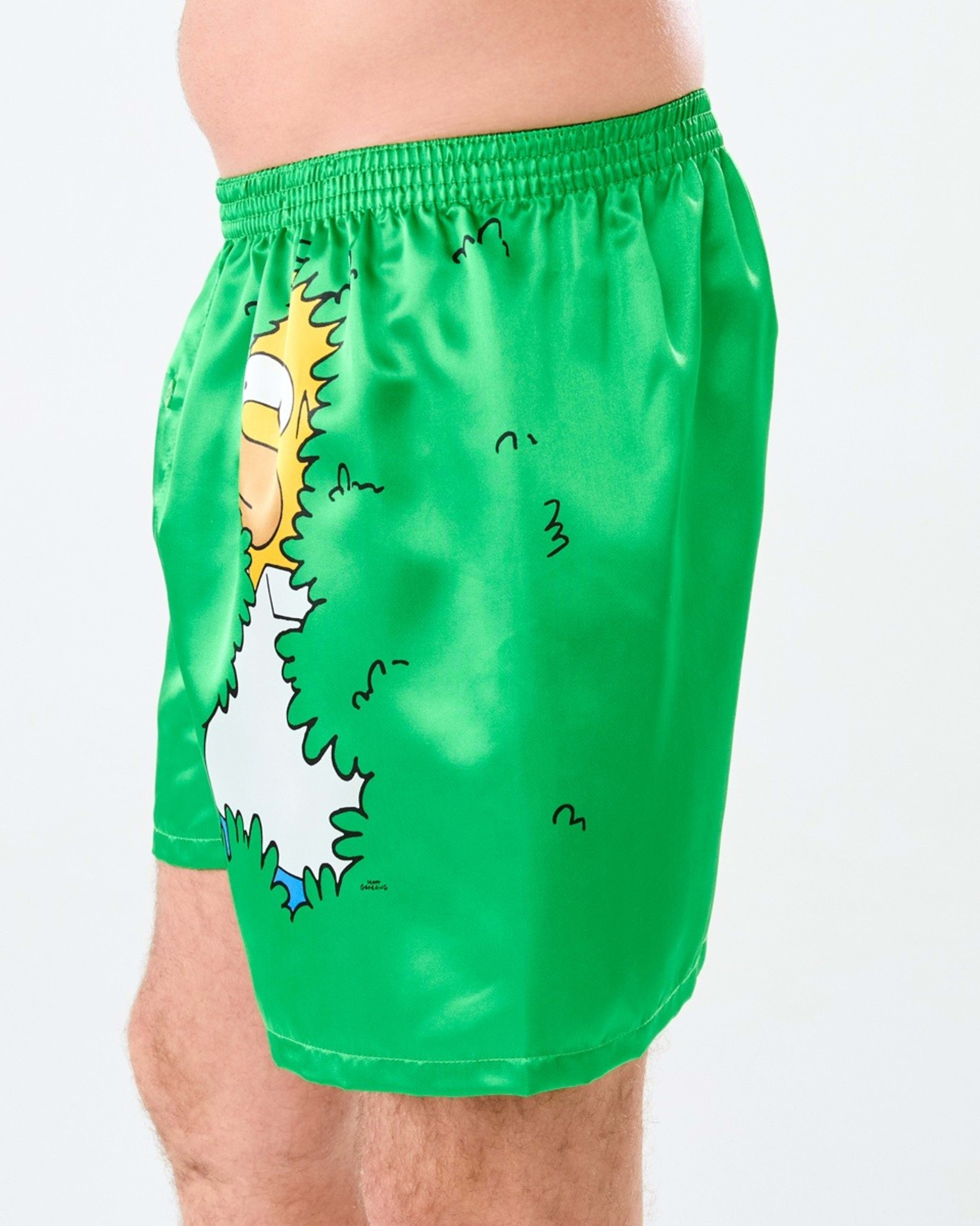 2 Simpsons License Boxers Simpsons Homer Bush, 2 of 5