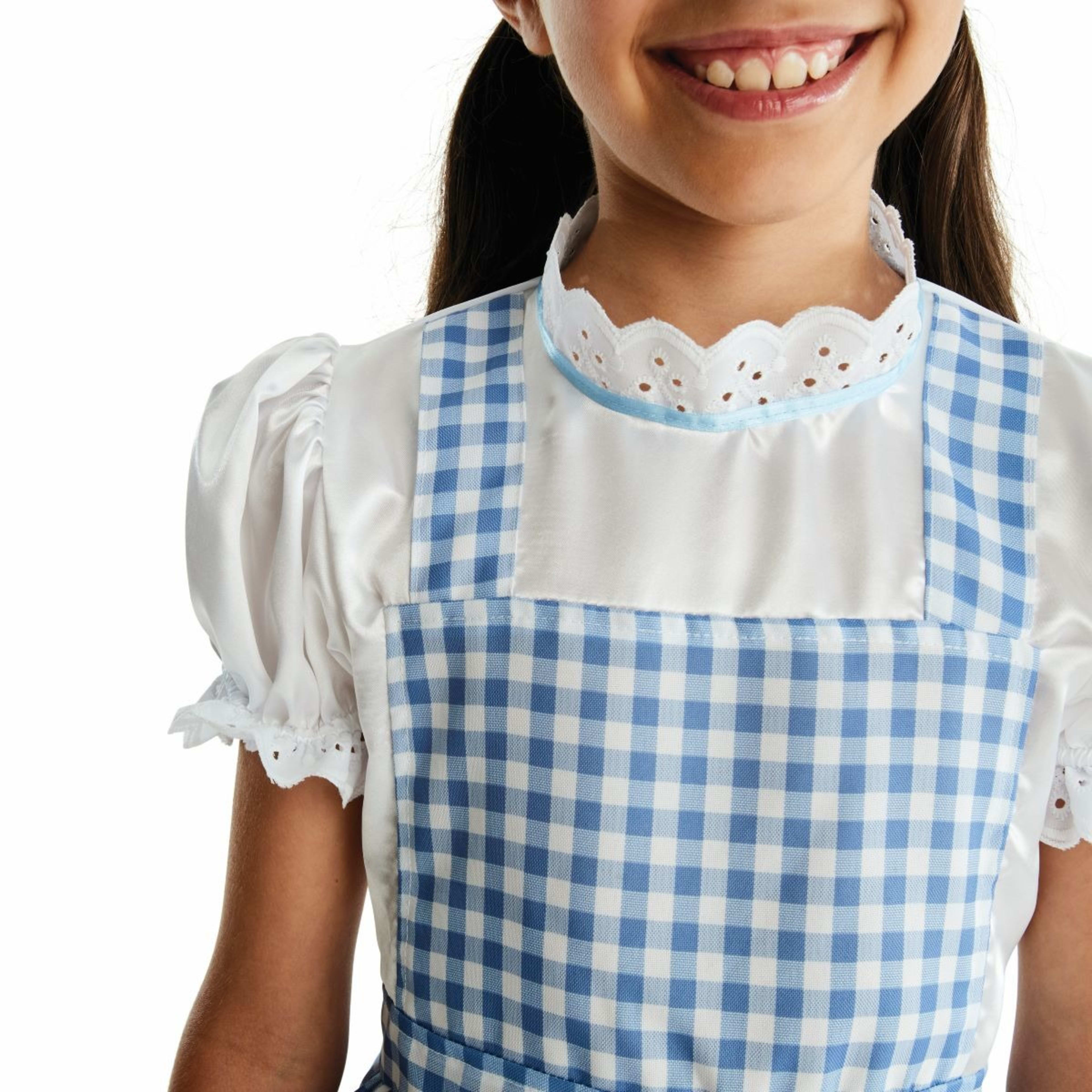 Country Girl Costume Ages 68 Kmart