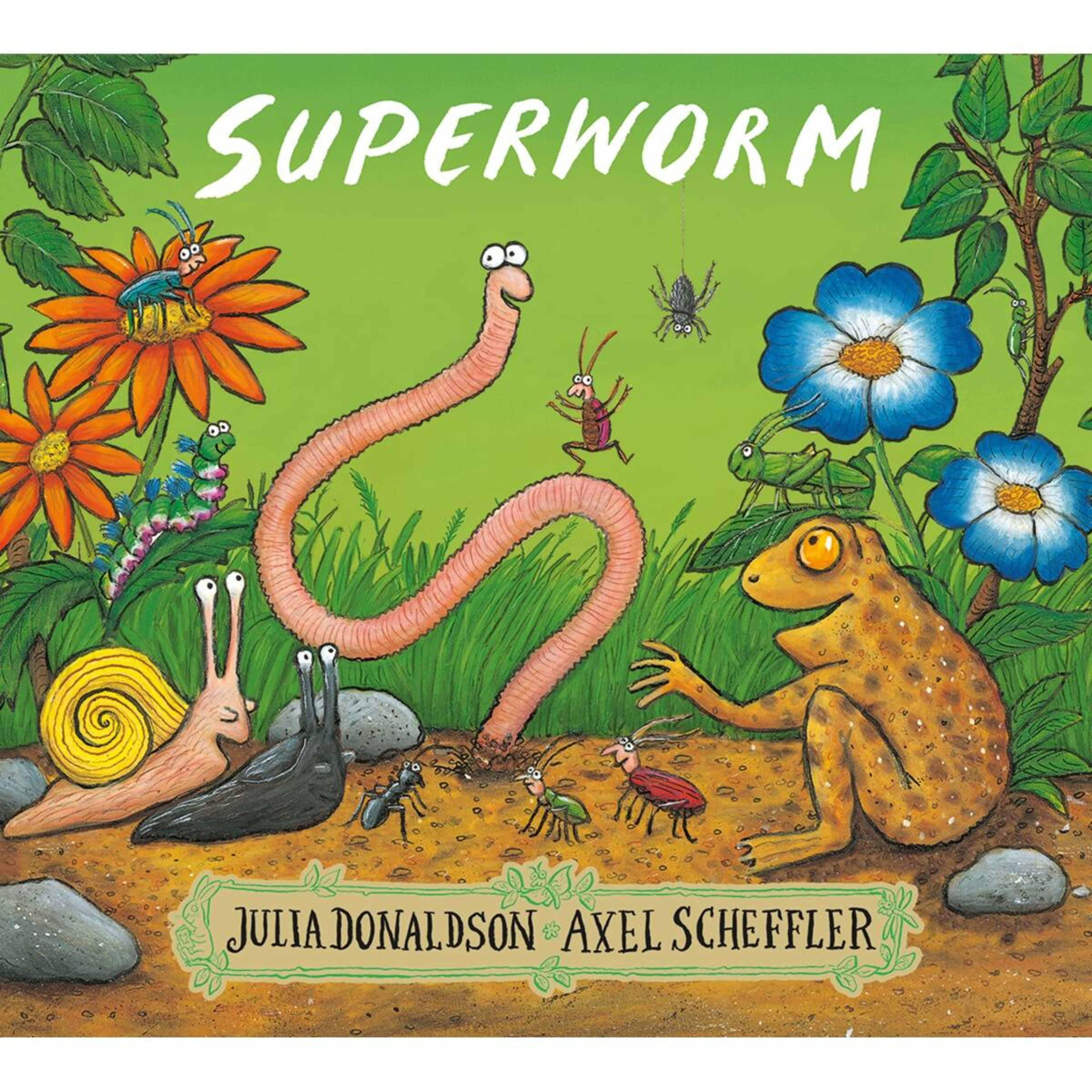 1 Superworm by Julia Donaldson - Book