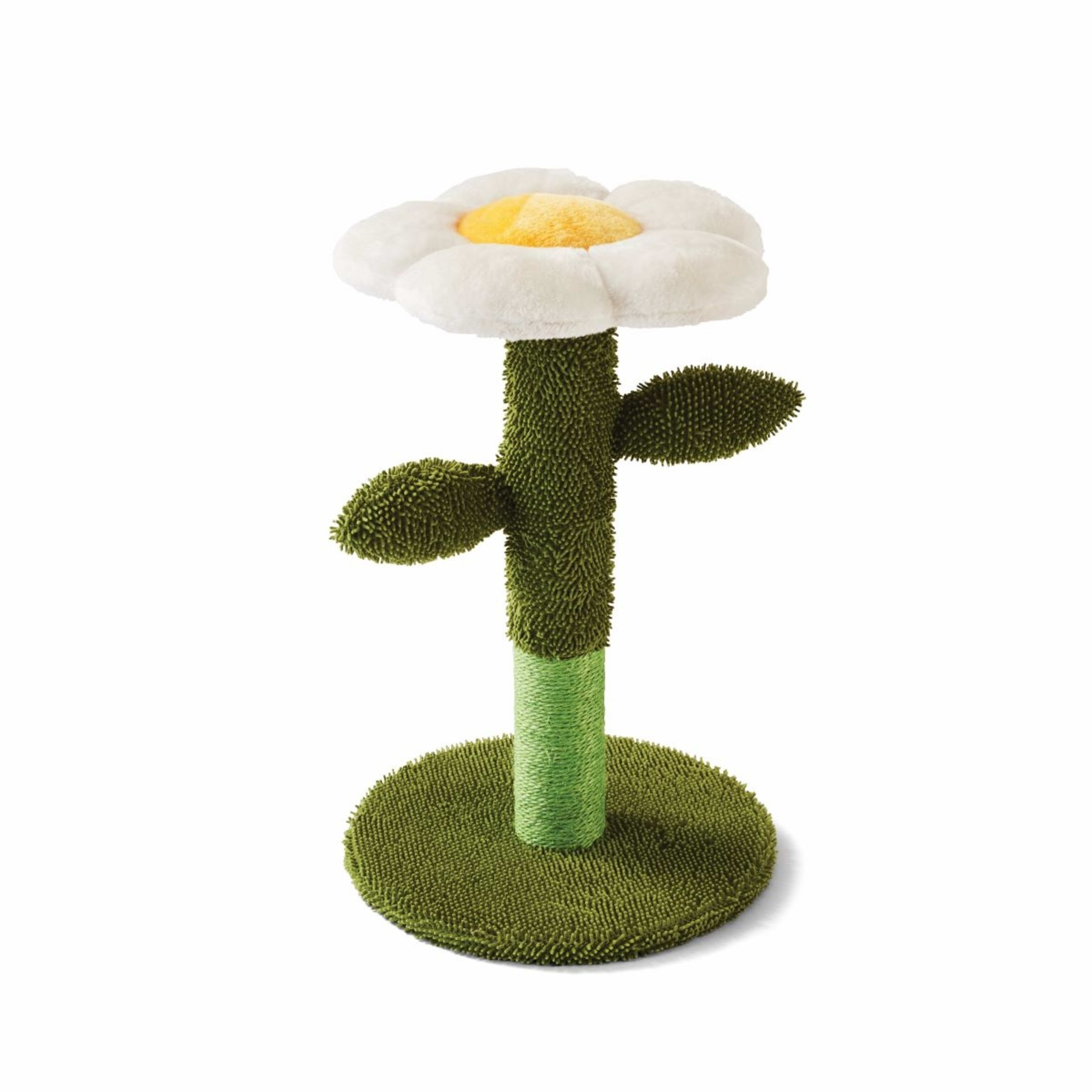 Cat Scratcher Flower Kmart