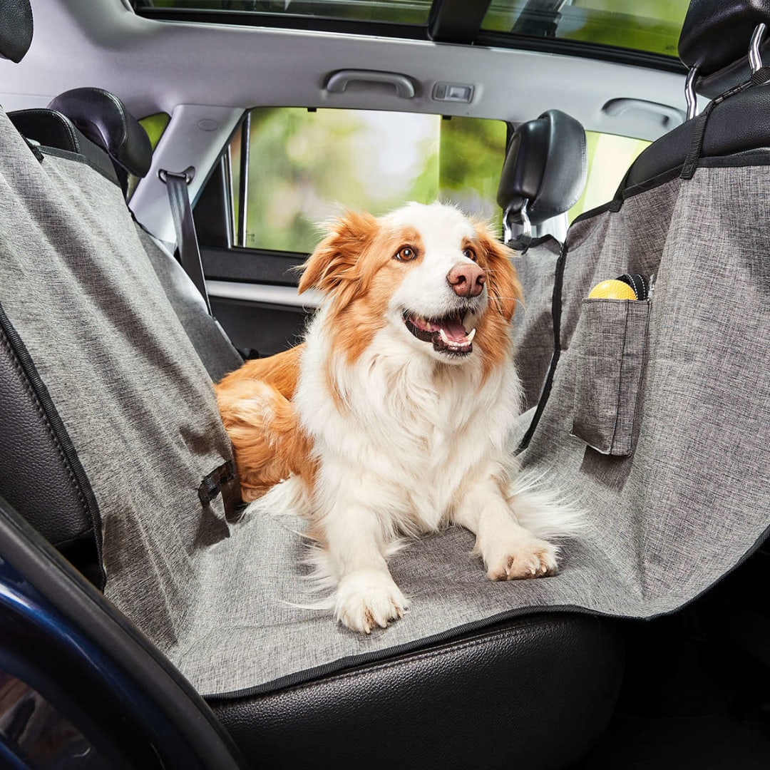 Pet Back Seat Cover - Kmart