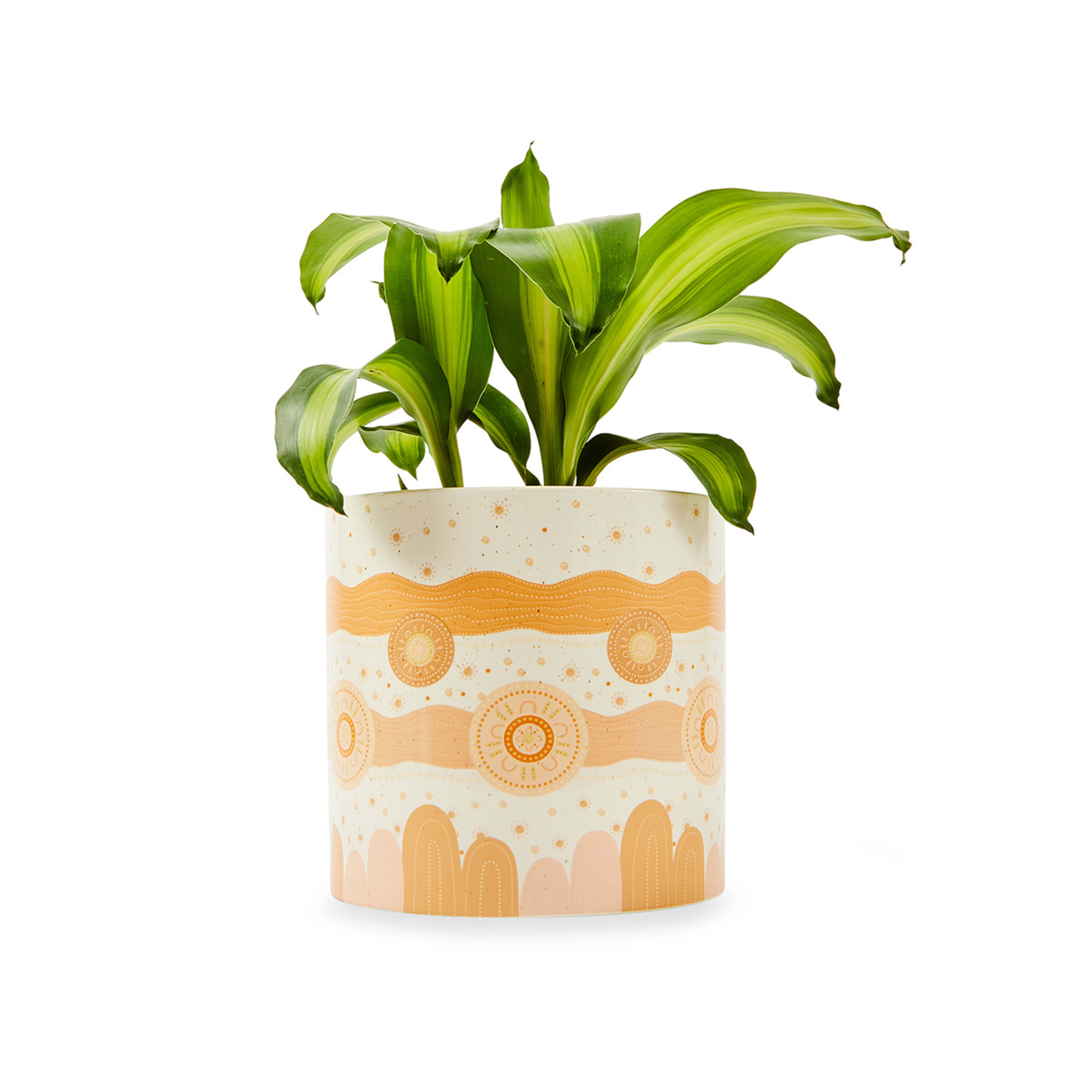 1 Mudyin Ngurrawa Pot