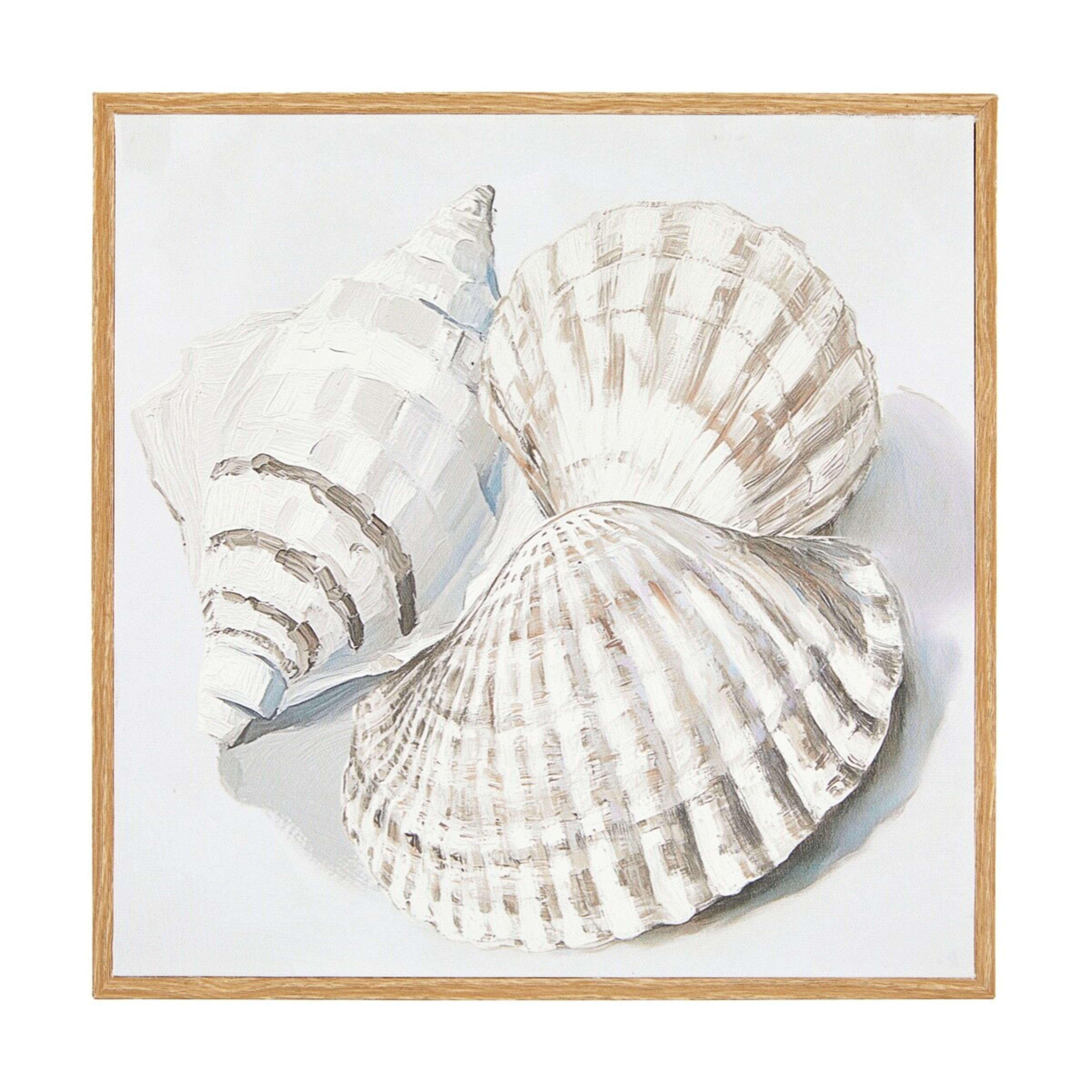 1 Shells Framed Canvas, 1 of 5