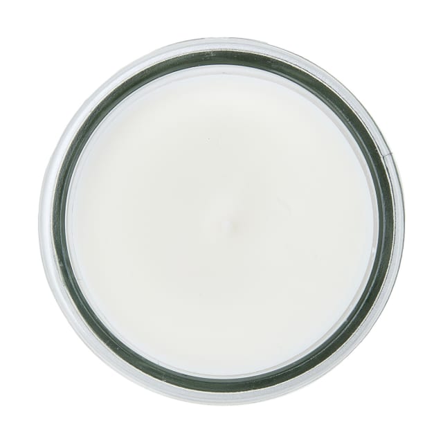 Tropical Oasis Jar Fragrant Candle Kmart