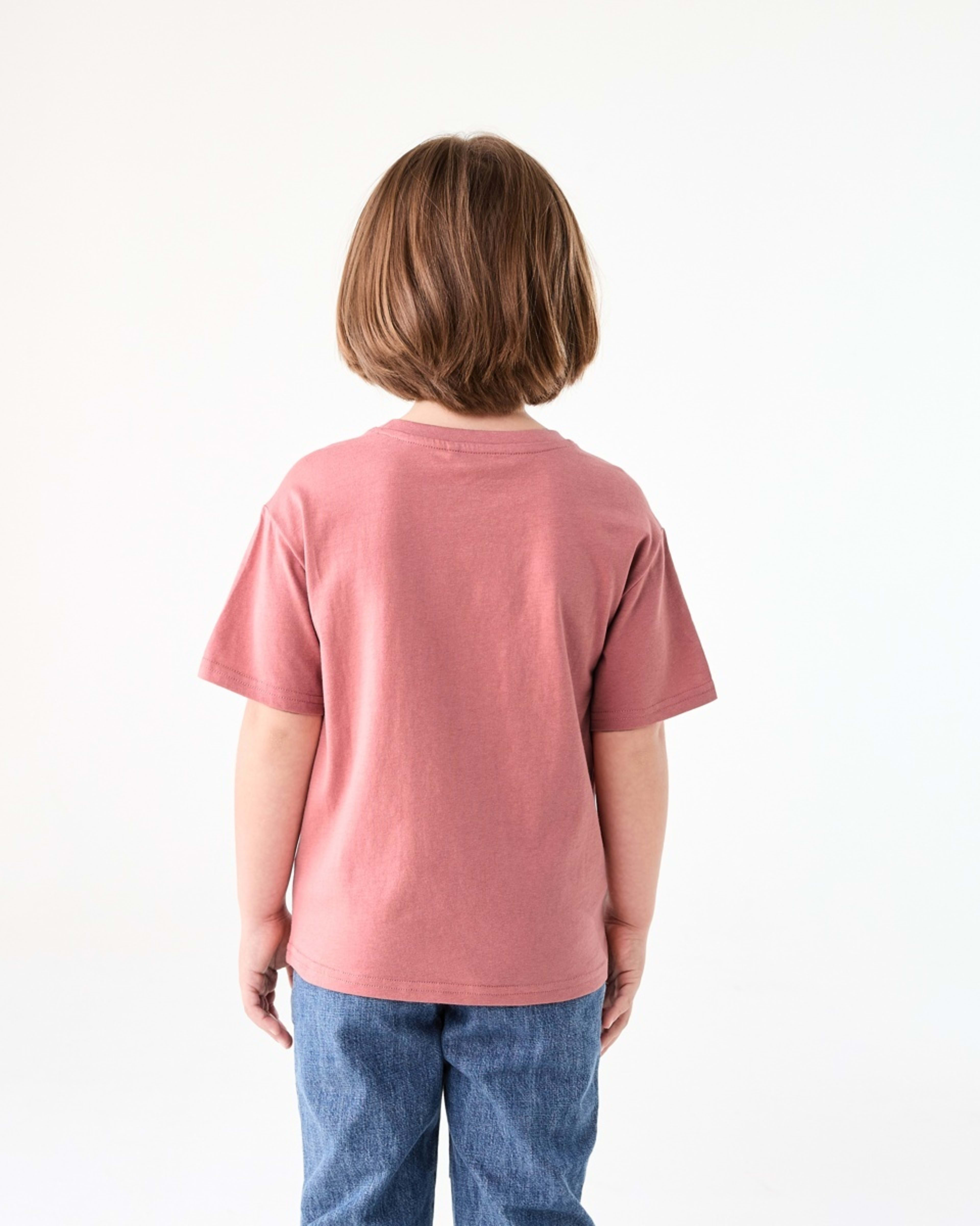 2 Chest Print T-shirt WAVE CHASERS WASHED CLAY, 2 of 6