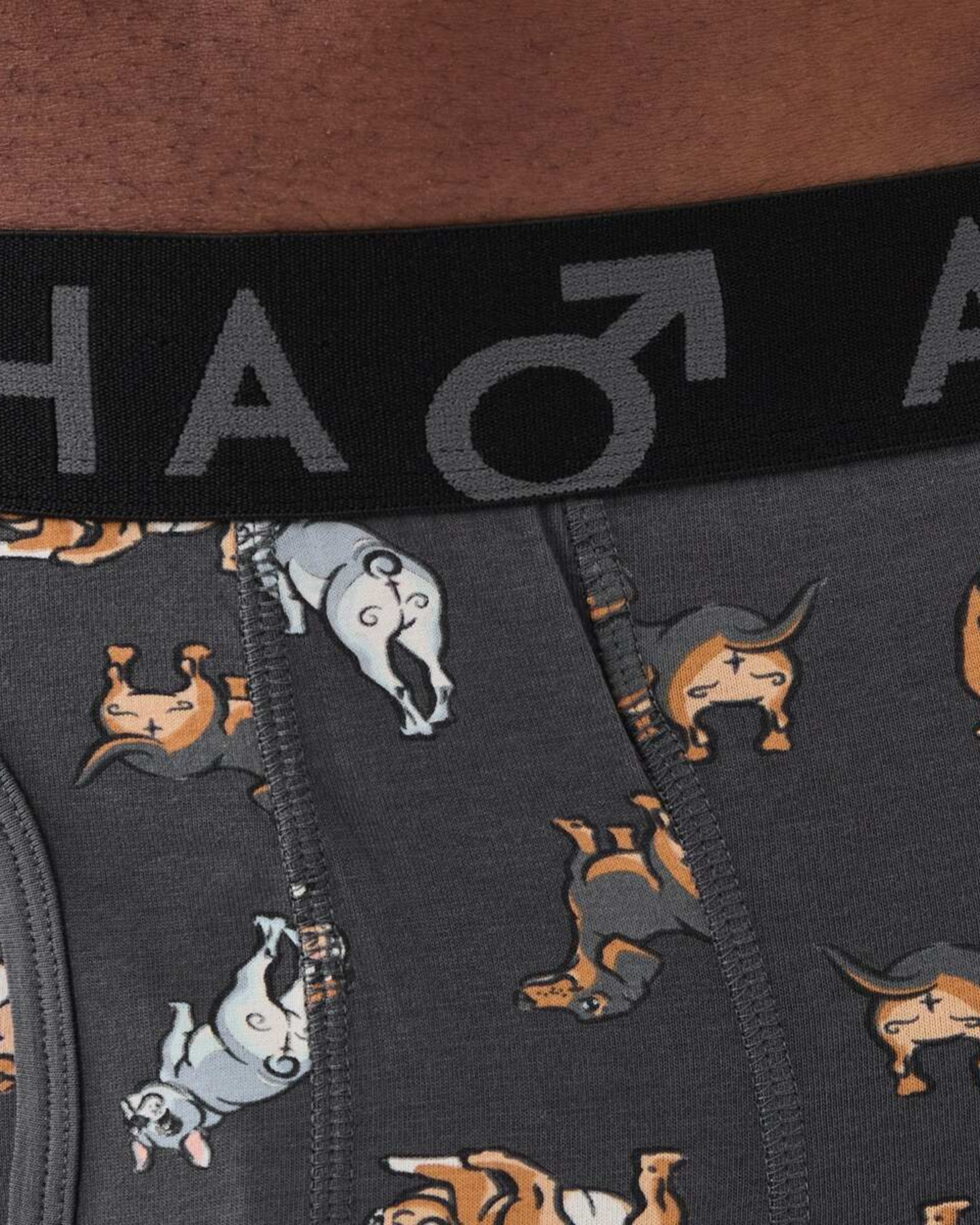 7 3 Pack Fly Front Print Trunks Hey Pups, 7 of 8