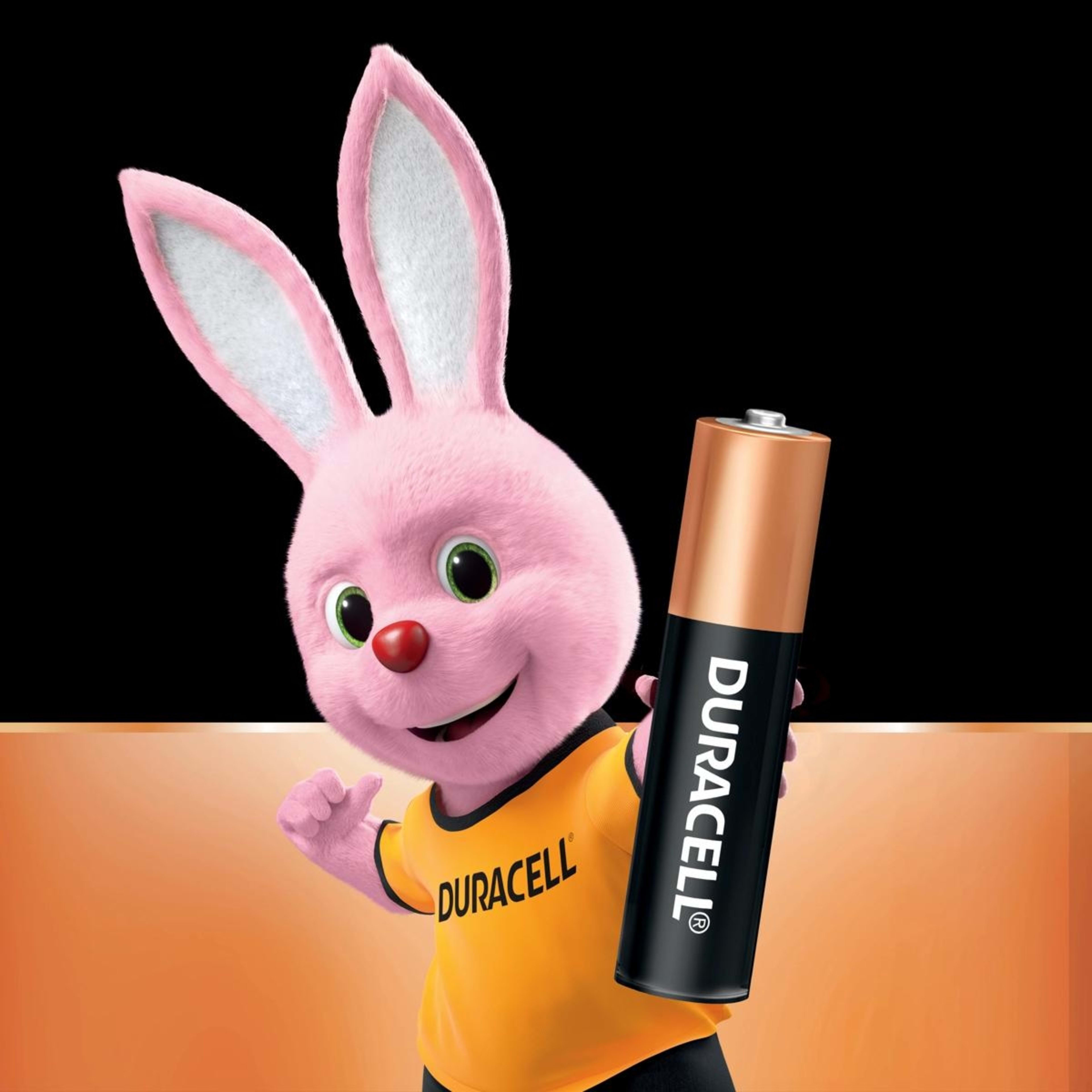3 Duracell Coppertop Alkaline AAA 14 Pack Batteries, 3 of 10