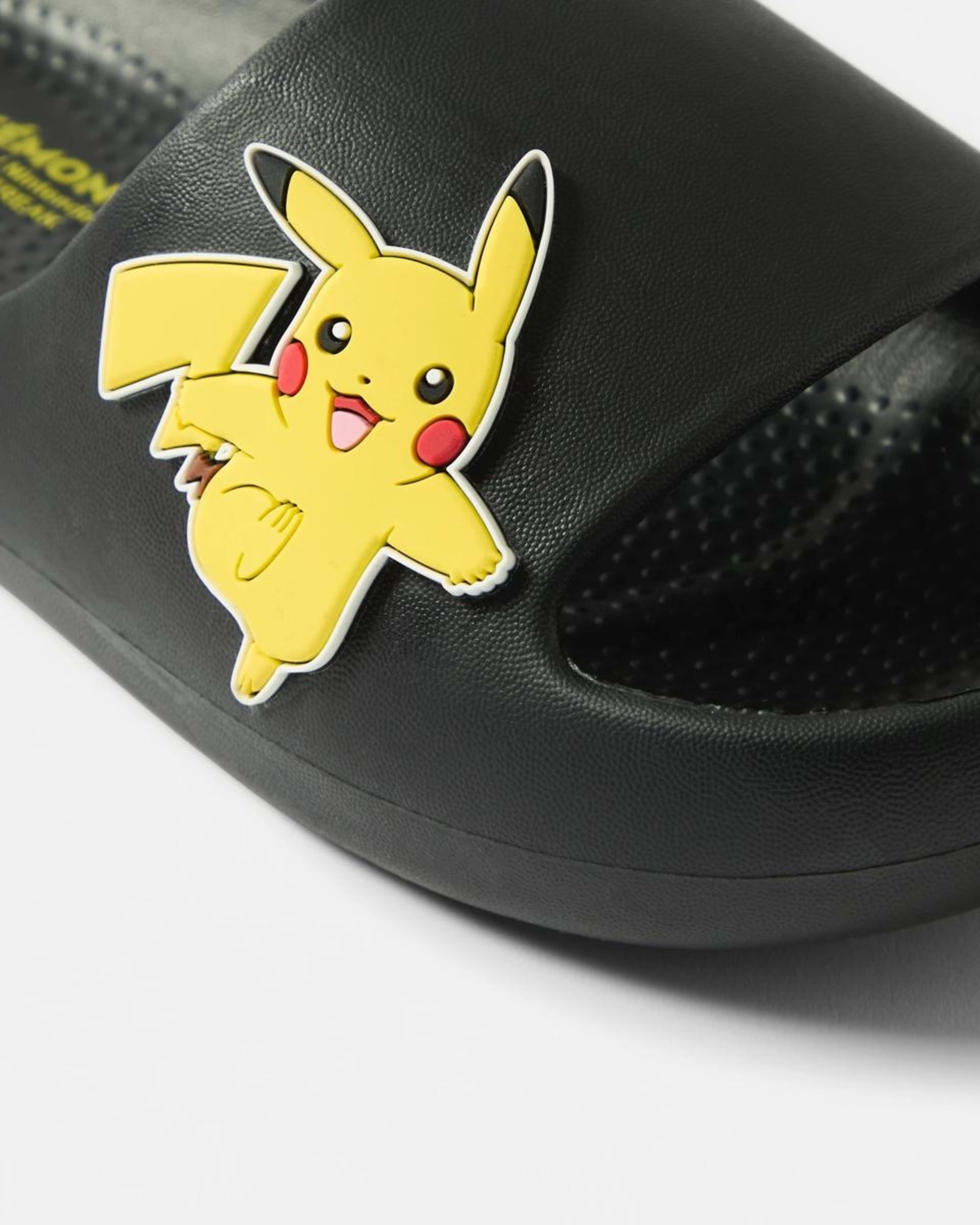 4 Senior Pokemon License Slides POKEMON BLACK, 4 of 4