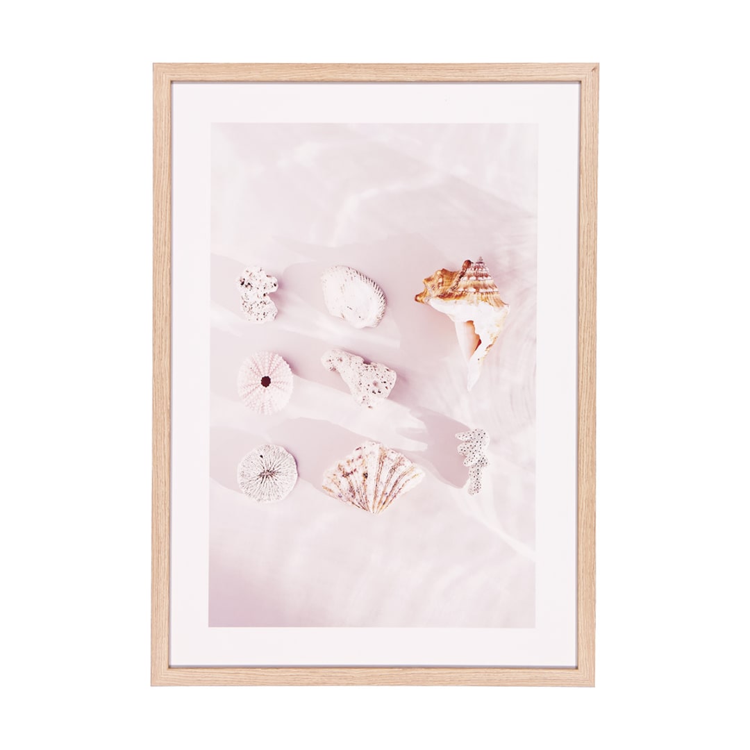 Beach Shells Framed Print Kmart