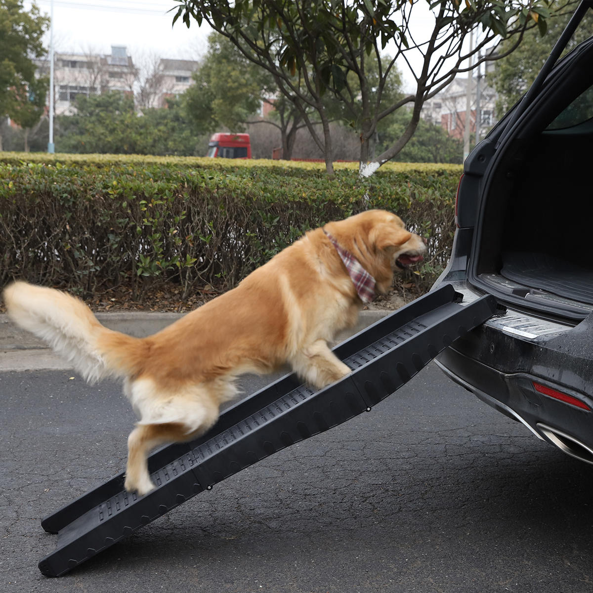 Kmart dog stairs sale