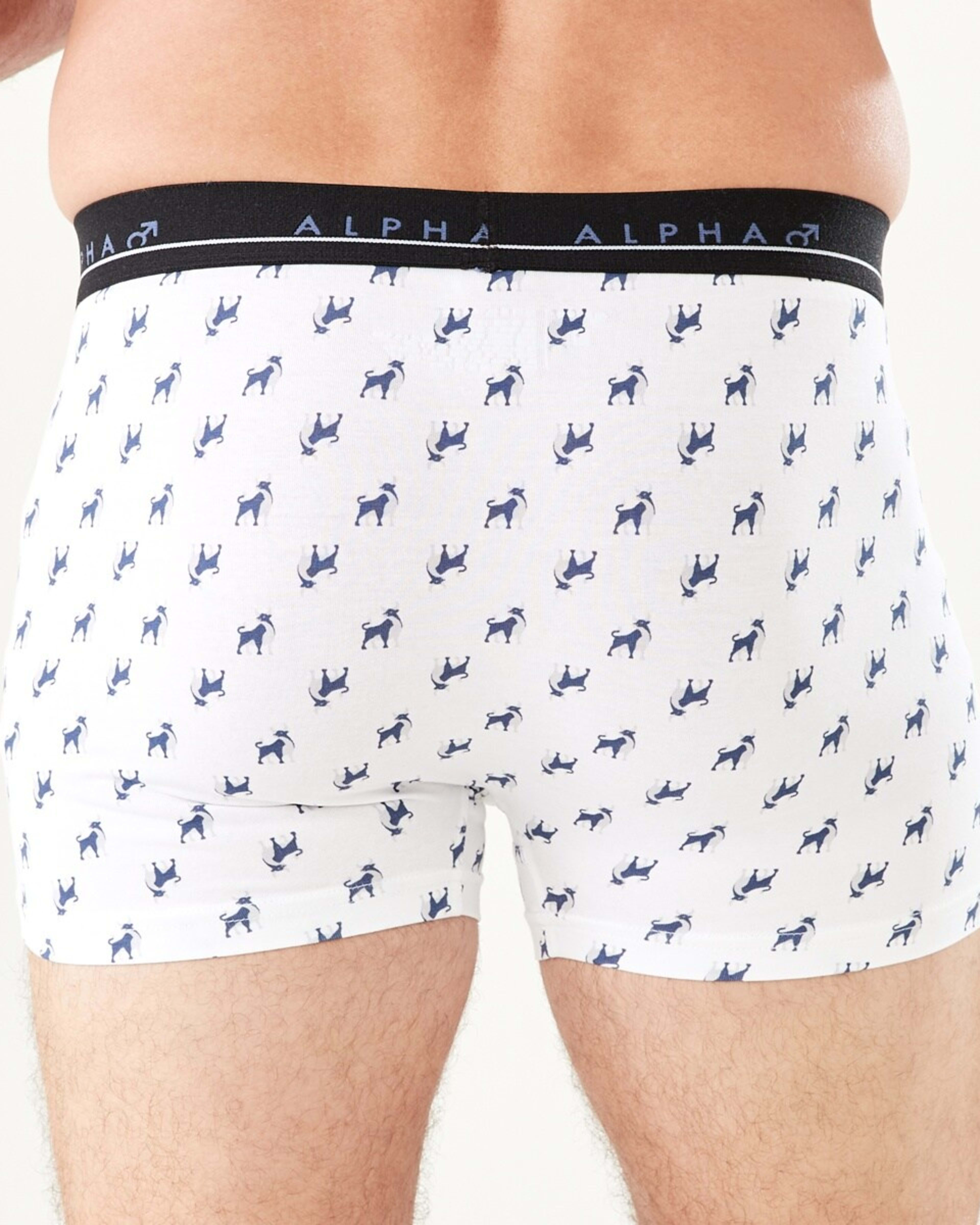 8 5 Pack Trunks BULL ICONS, 8 of 10