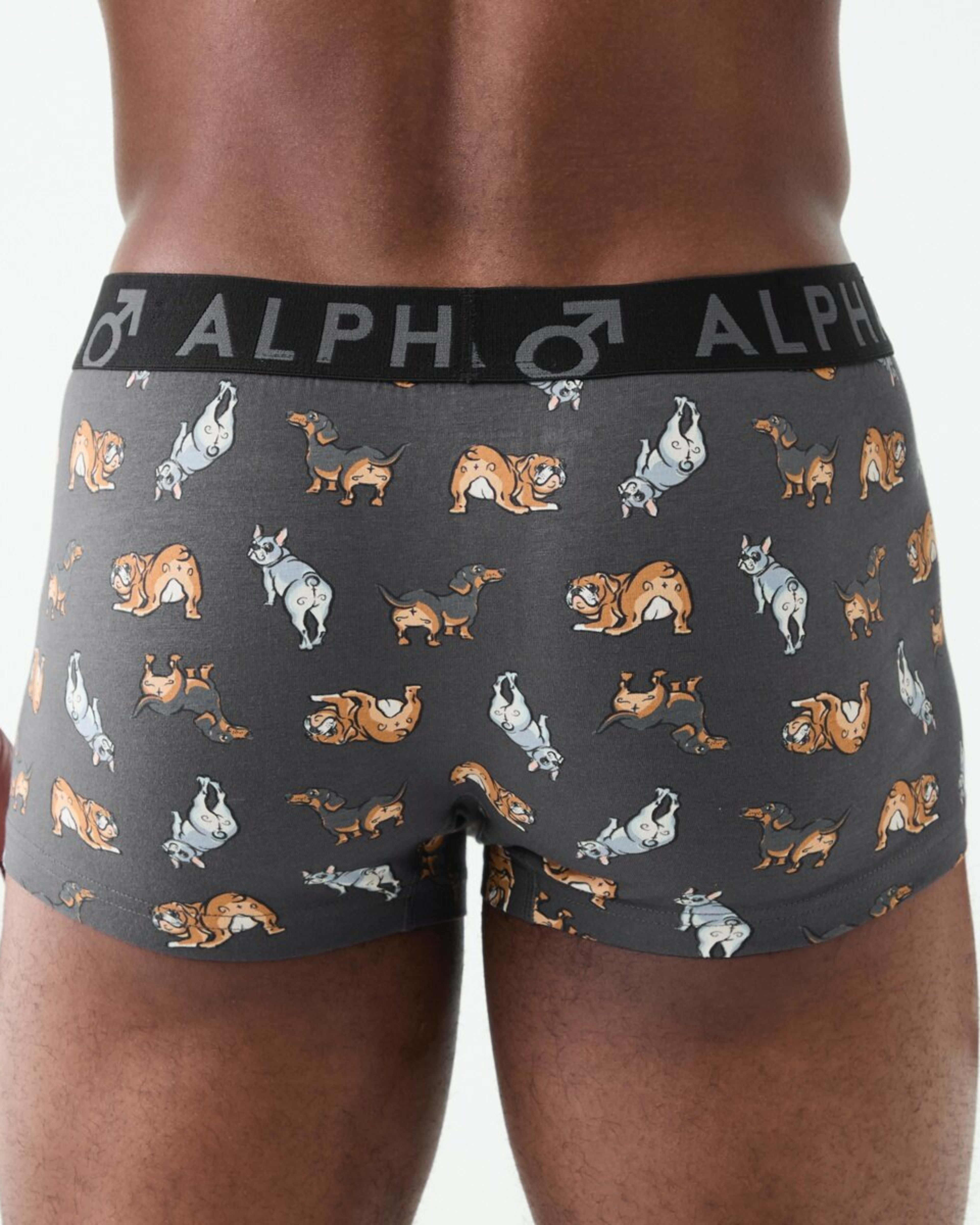 6 3 Pack Fly Front Print Trunks Hey Pups, 6 of 8