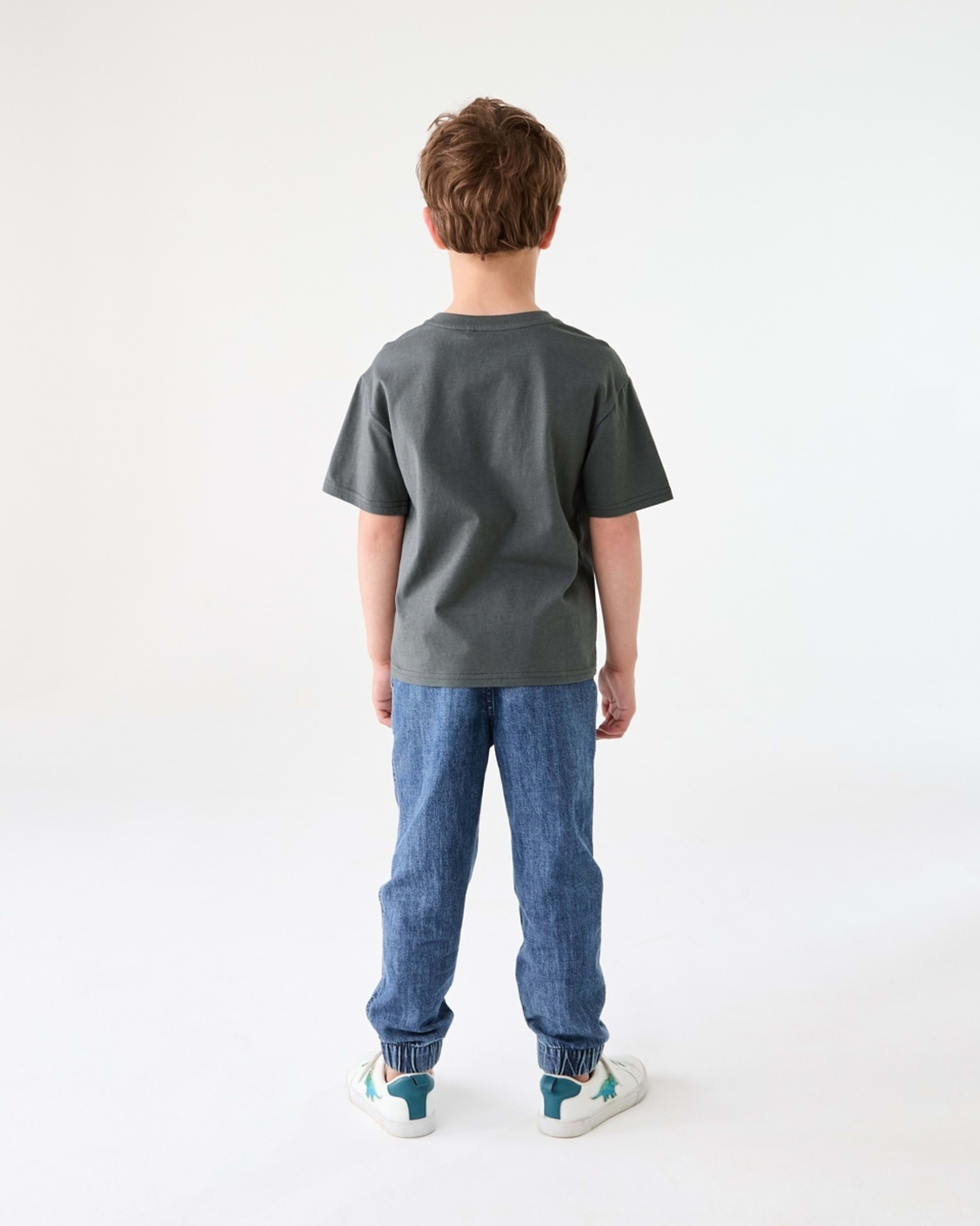 6 Chest Print T-shirt SUNSET RACER WASHED GREY, 6 of 6
