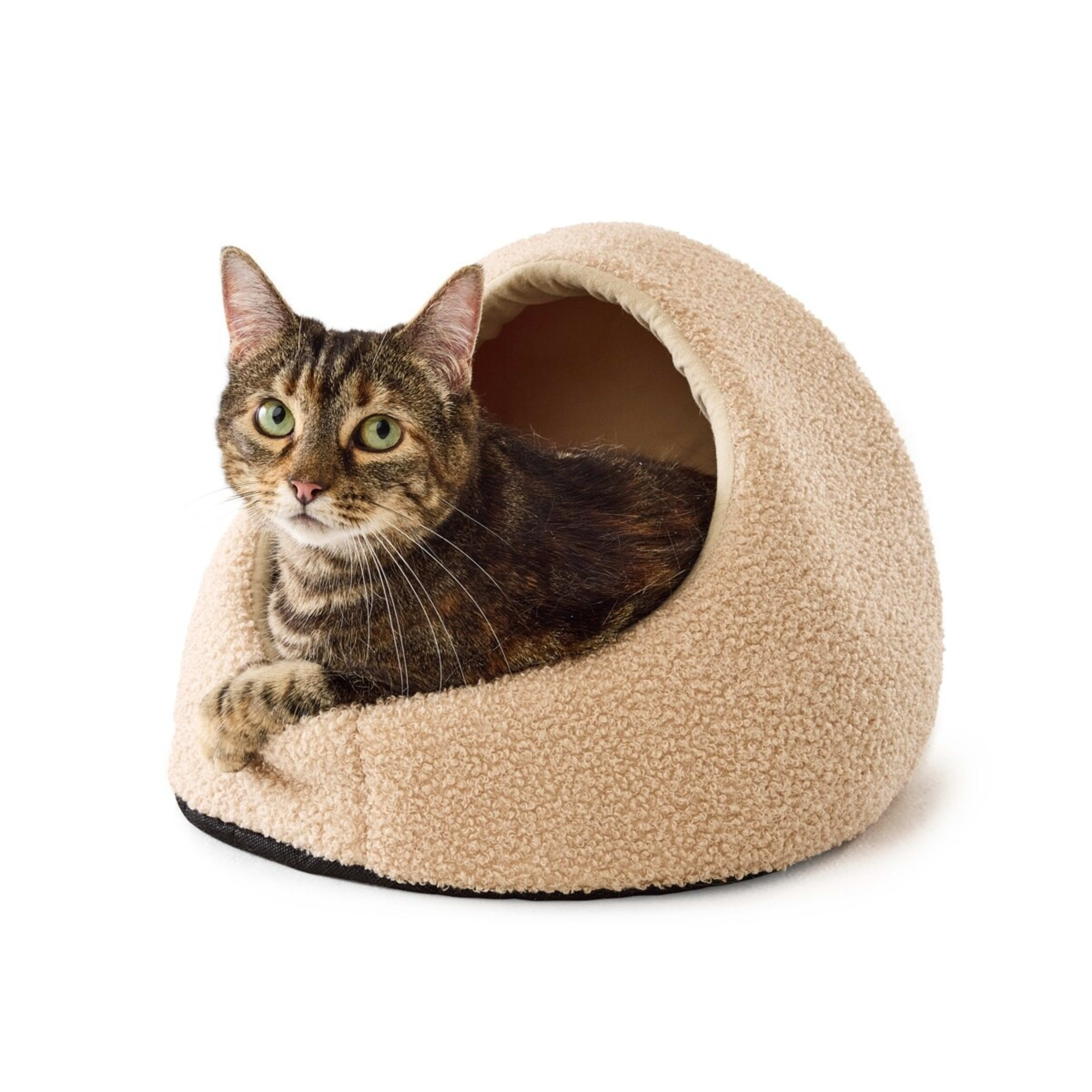 1 Cat Cave Boucle
