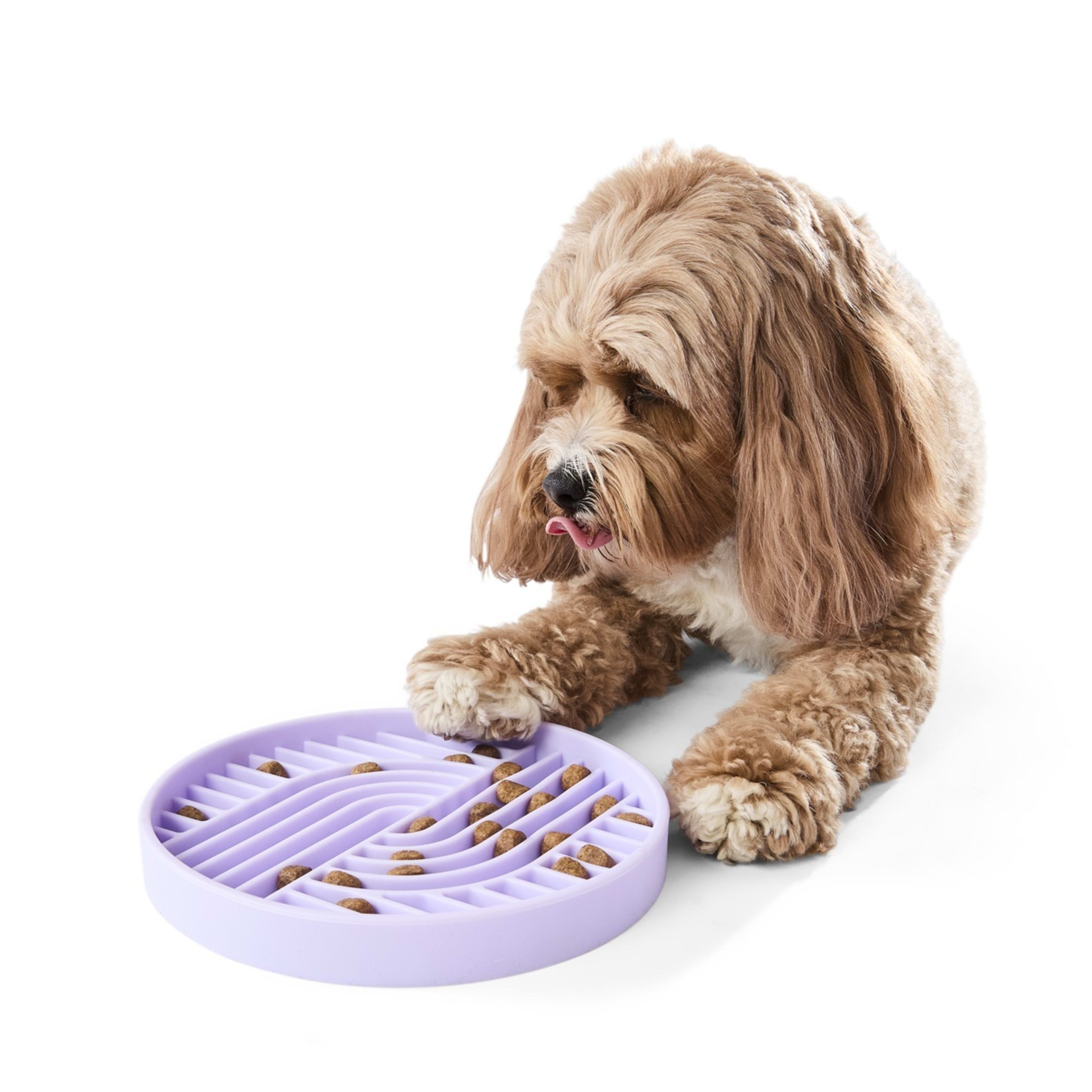 1 Pet Silicone Feeding Plate - Lilac, 1 of 6