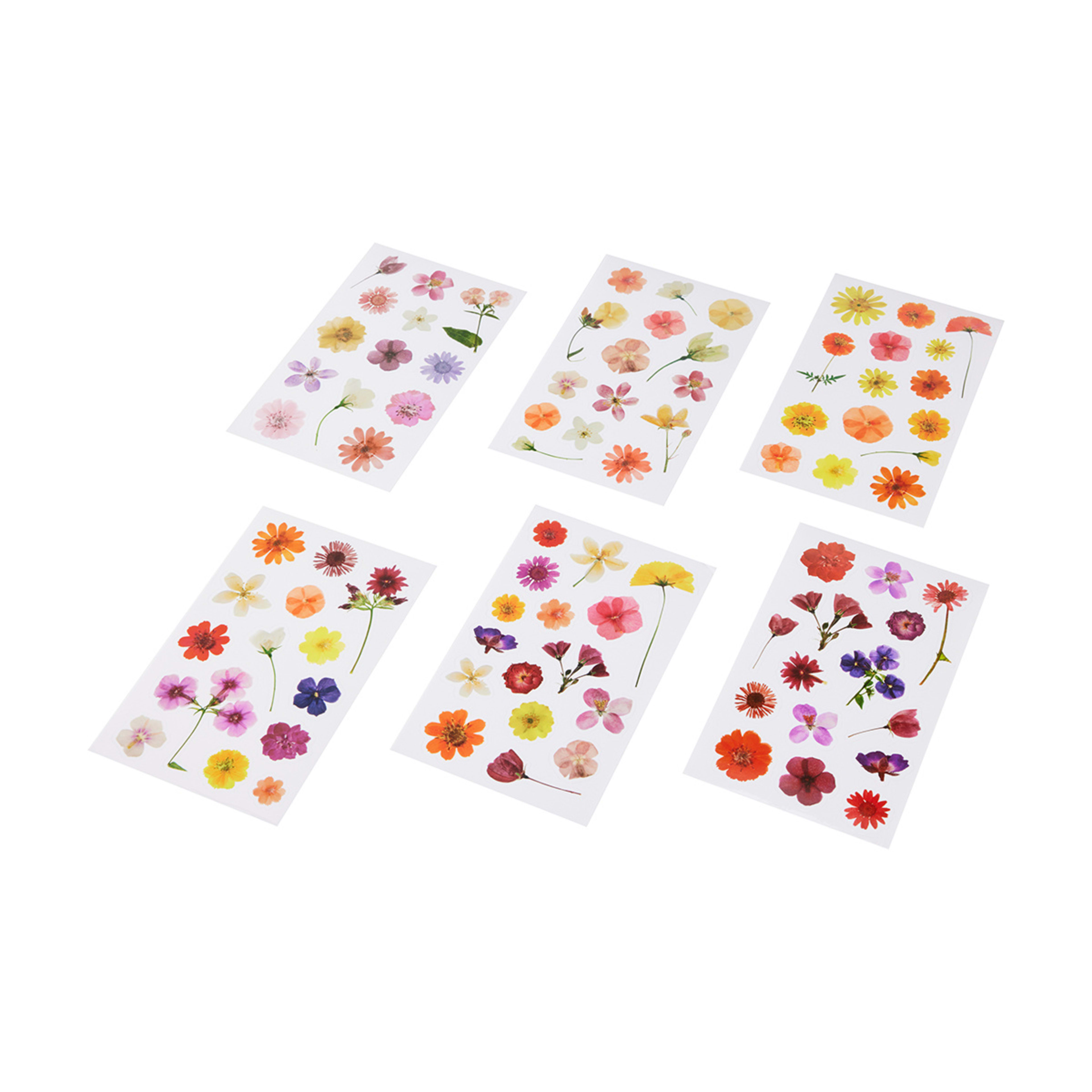 6 Pack Pressed Flower Stickers - Kmart NZ