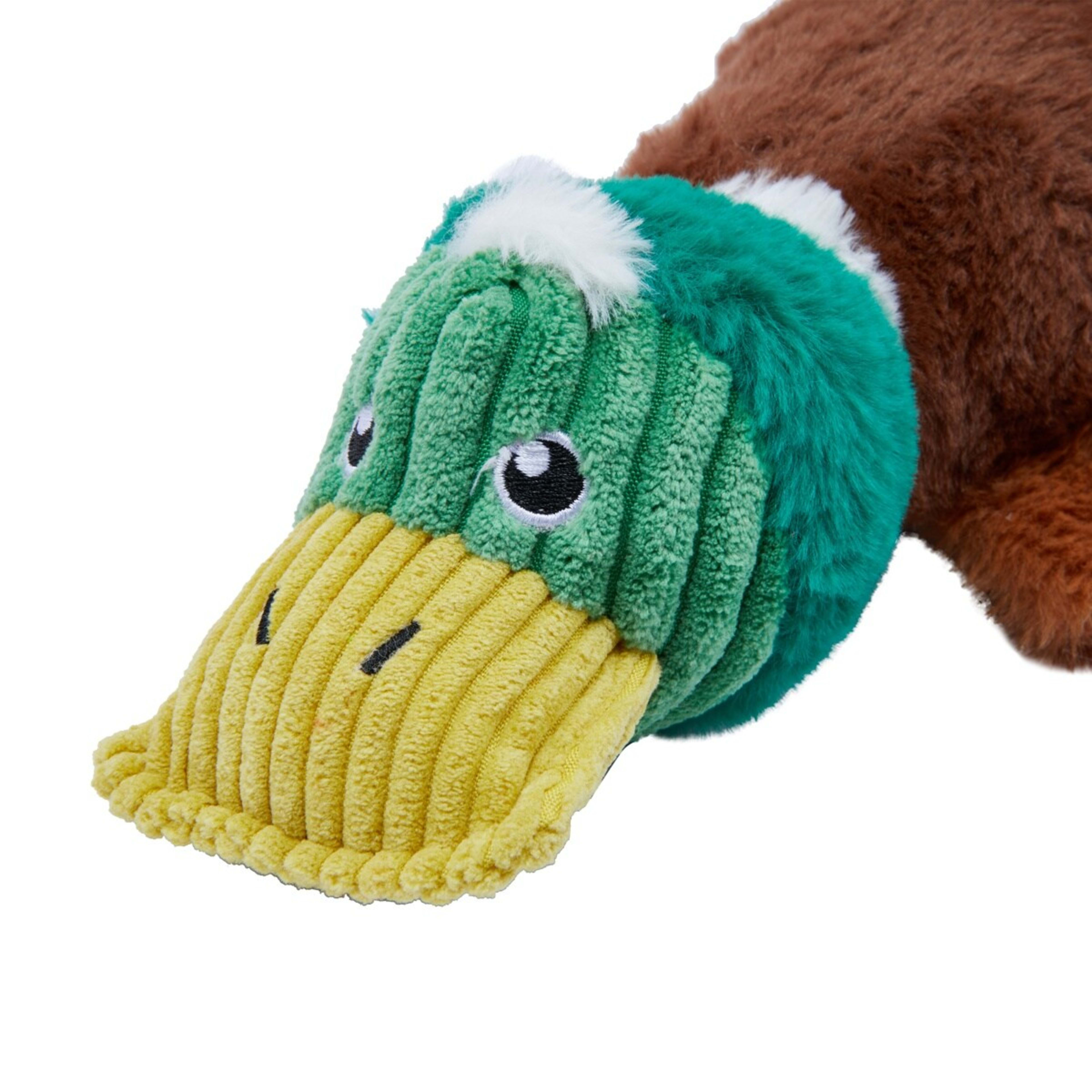 4 Pack Dog Toys Kmart