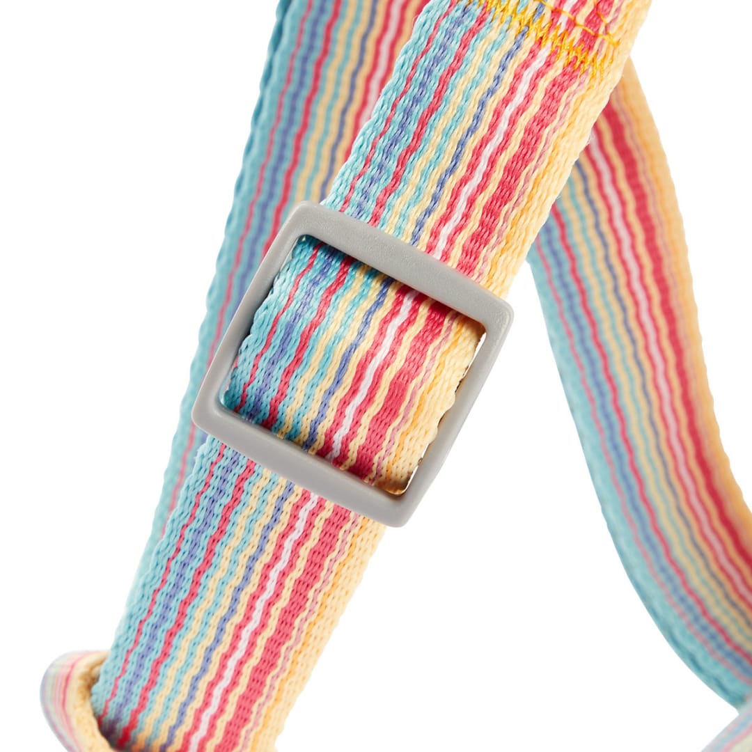 Dog Harness Rainbow Small Kmart