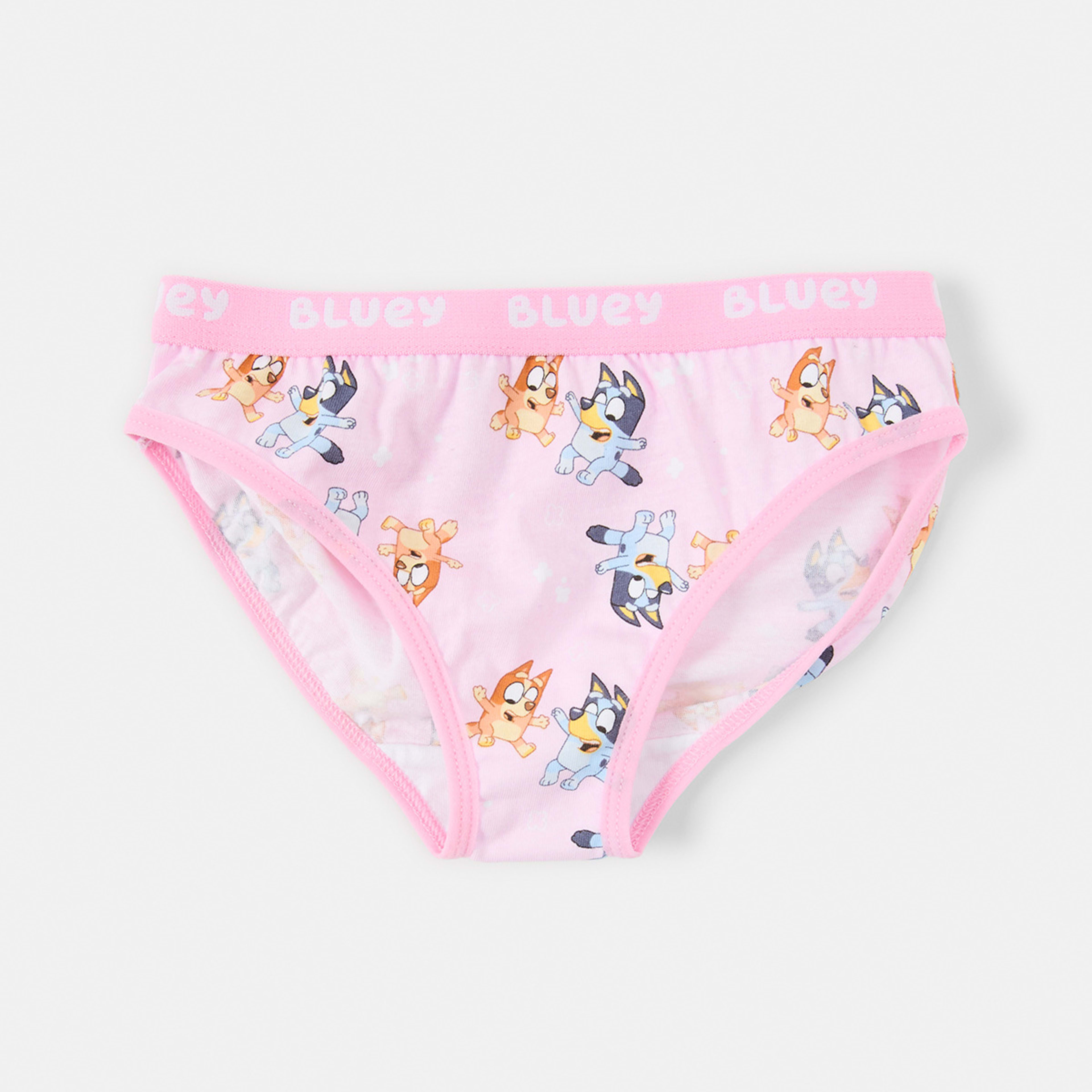 6 4 Pack Bluey License Briefs Bluey, 6 of 7