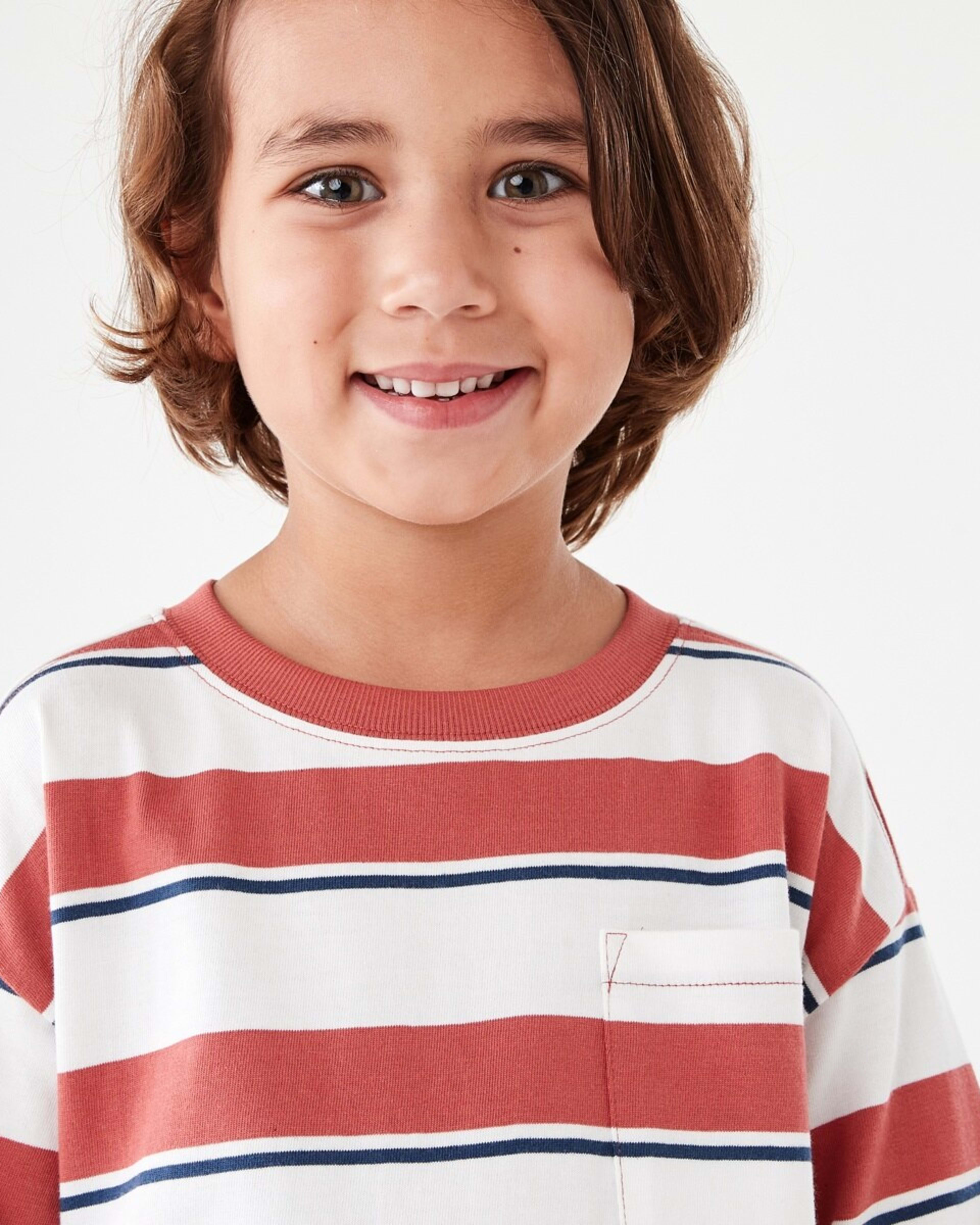 3 Oversized Stripe T-shirt North Stripe Washed Red, 3 of 9