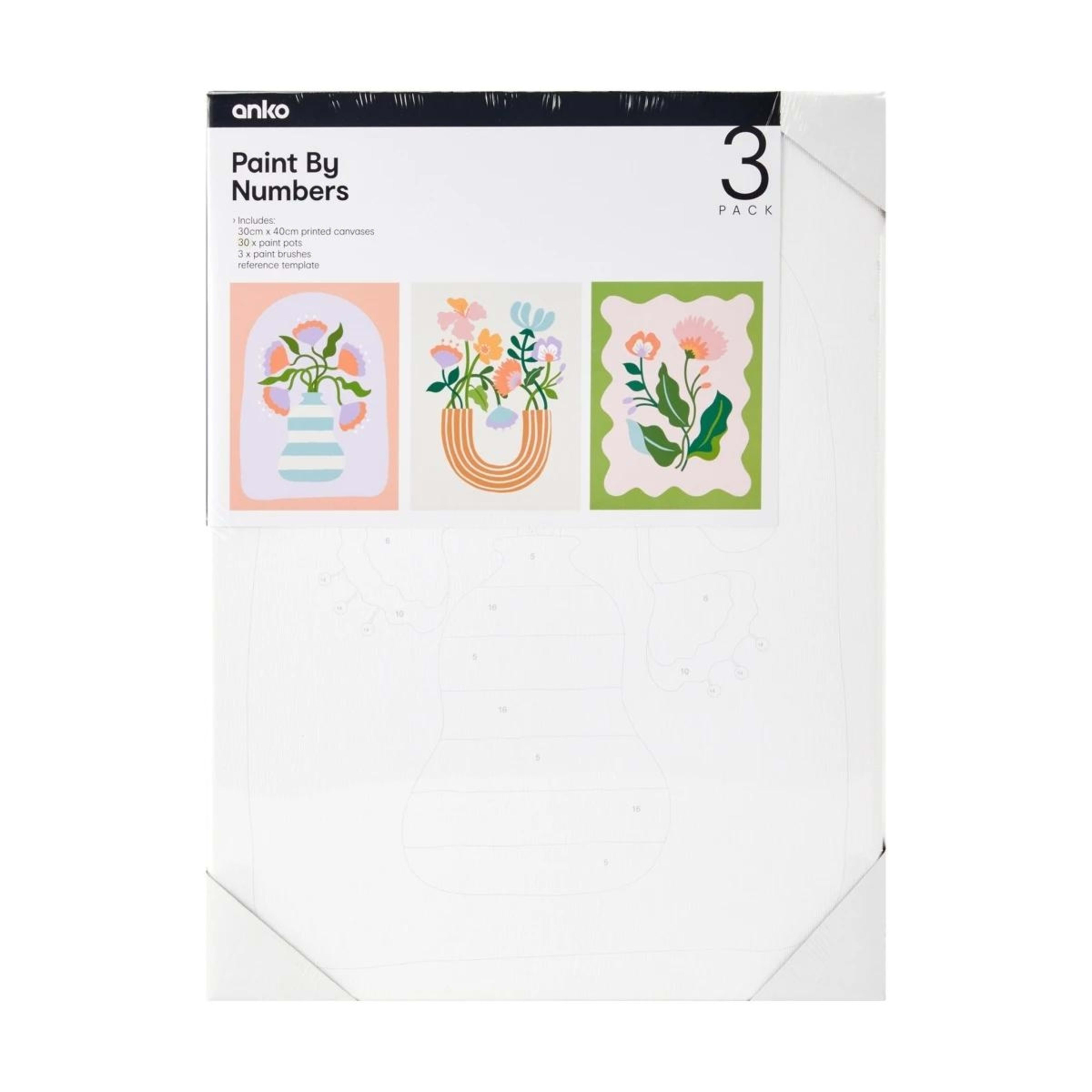 1 3 Pack Paint By Numbers - Bold Floral