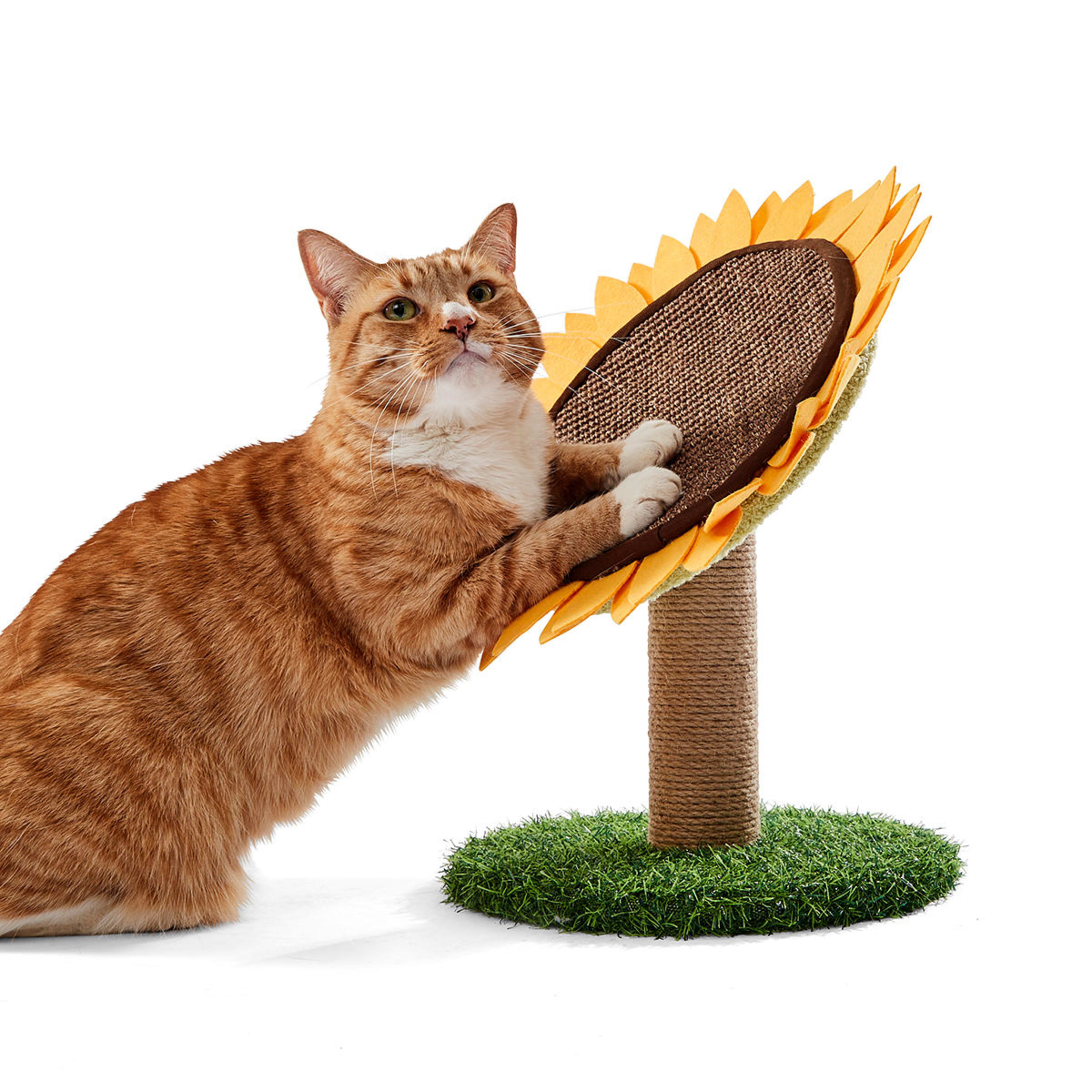 2 Cat Scratcher Sunflower, 2 of 8