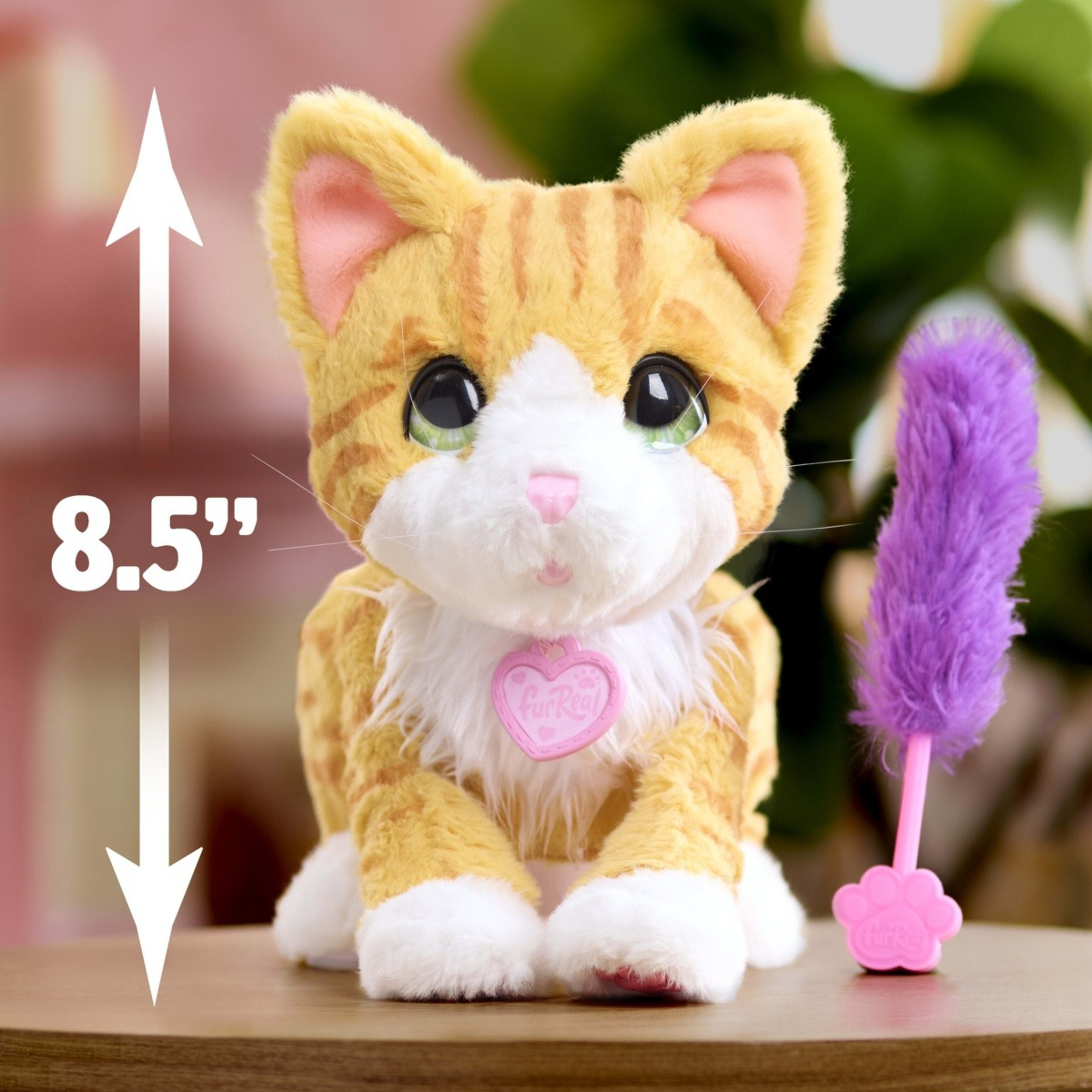 3 FurReal Bella the Biscuit Making Kitty, 3 of 5