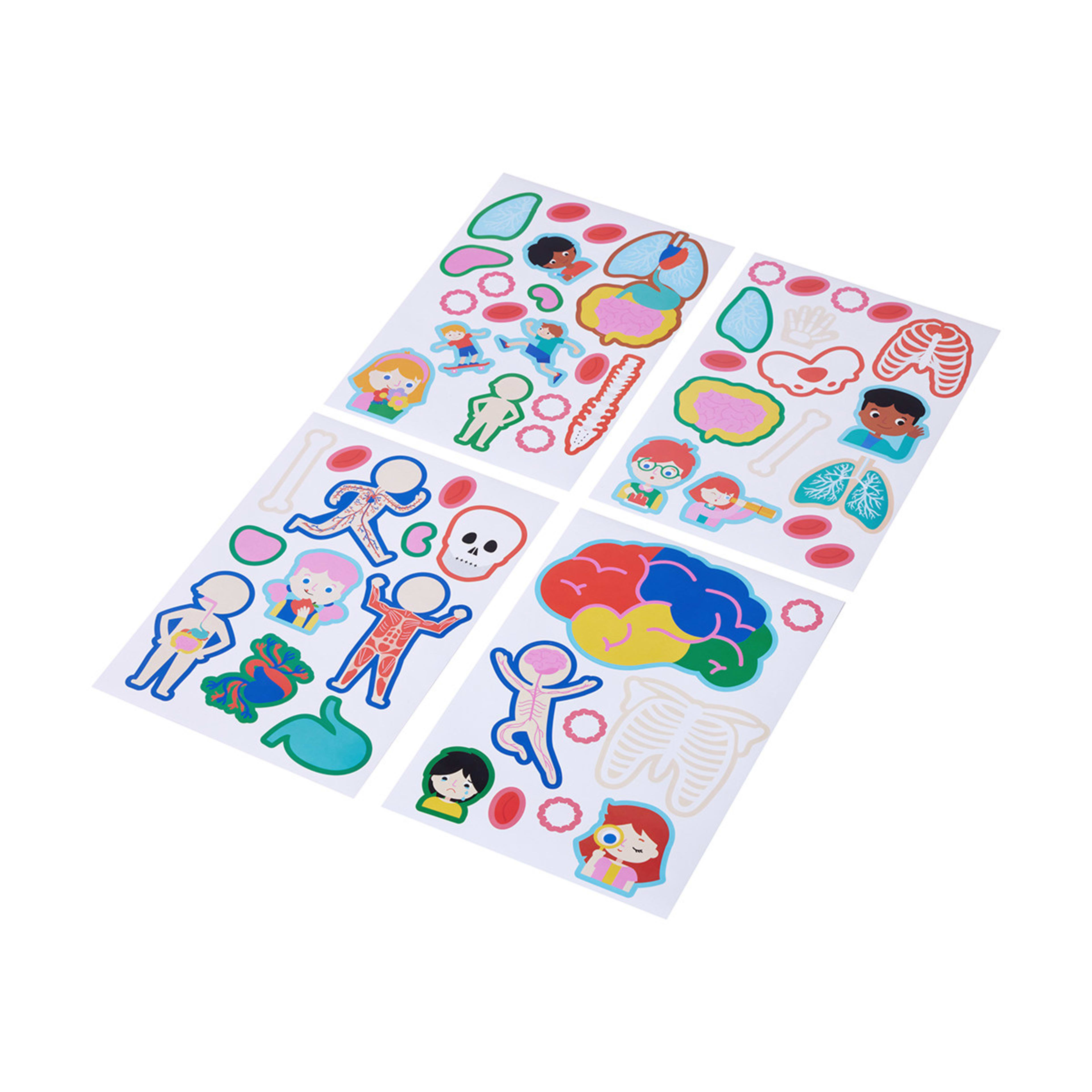 Learn About the Human Body Giant Educational Poster and Stickers Kmart