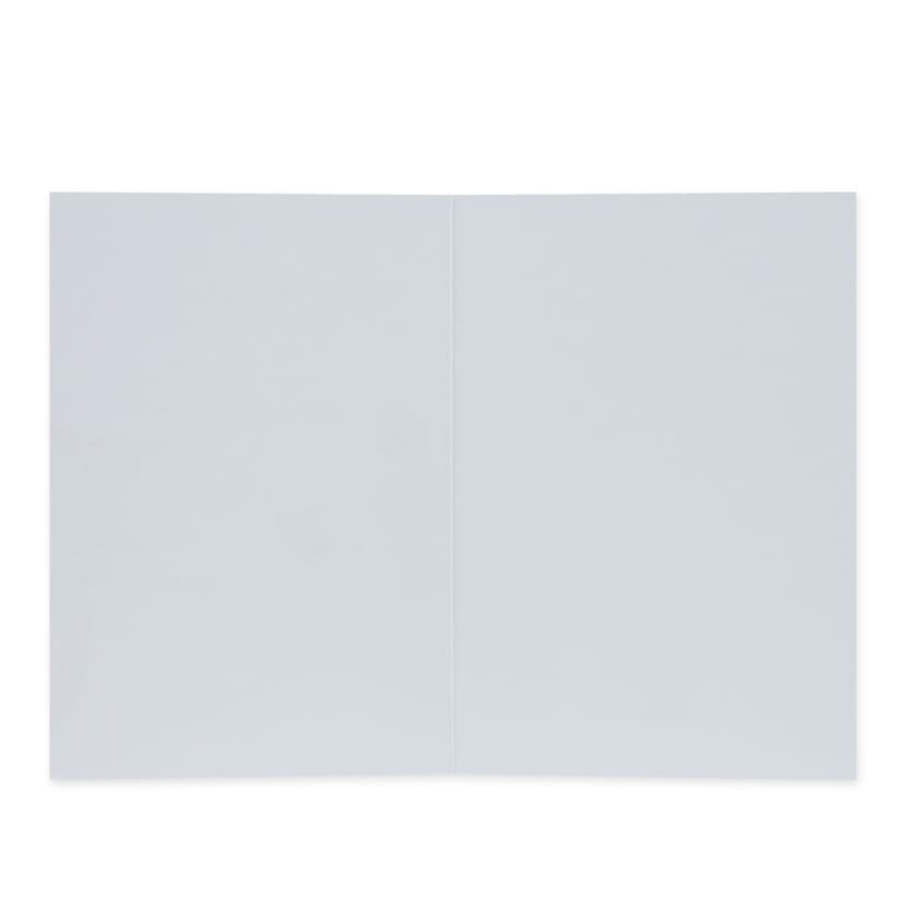 Connections from Hallmark Greeting Card Partners in Crime Kmart