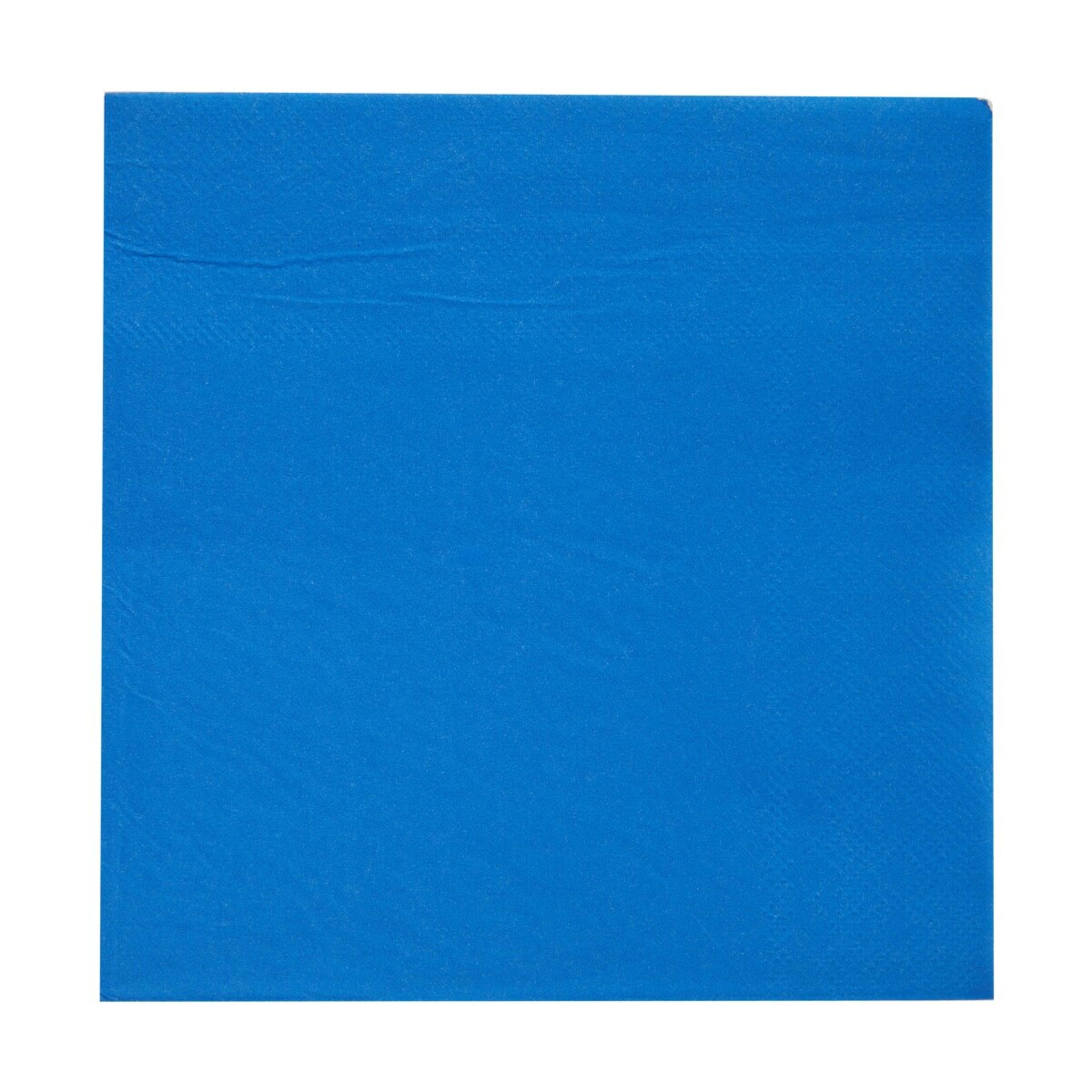 1 50 Piece Blue Paper Napkins