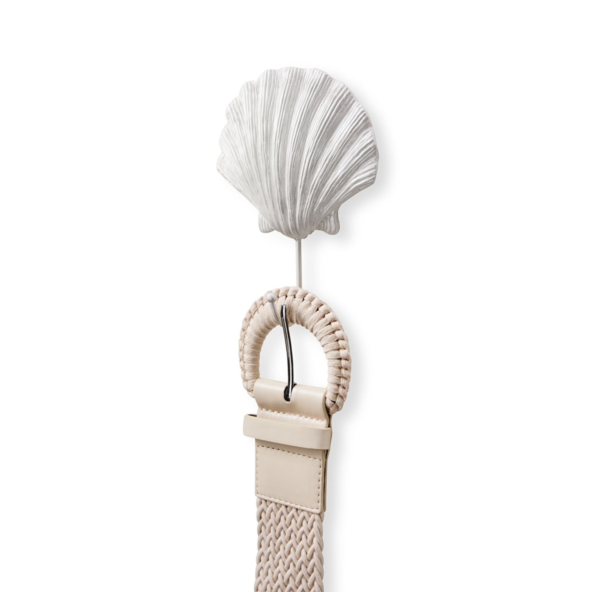 Shell Wall Hook Kmart