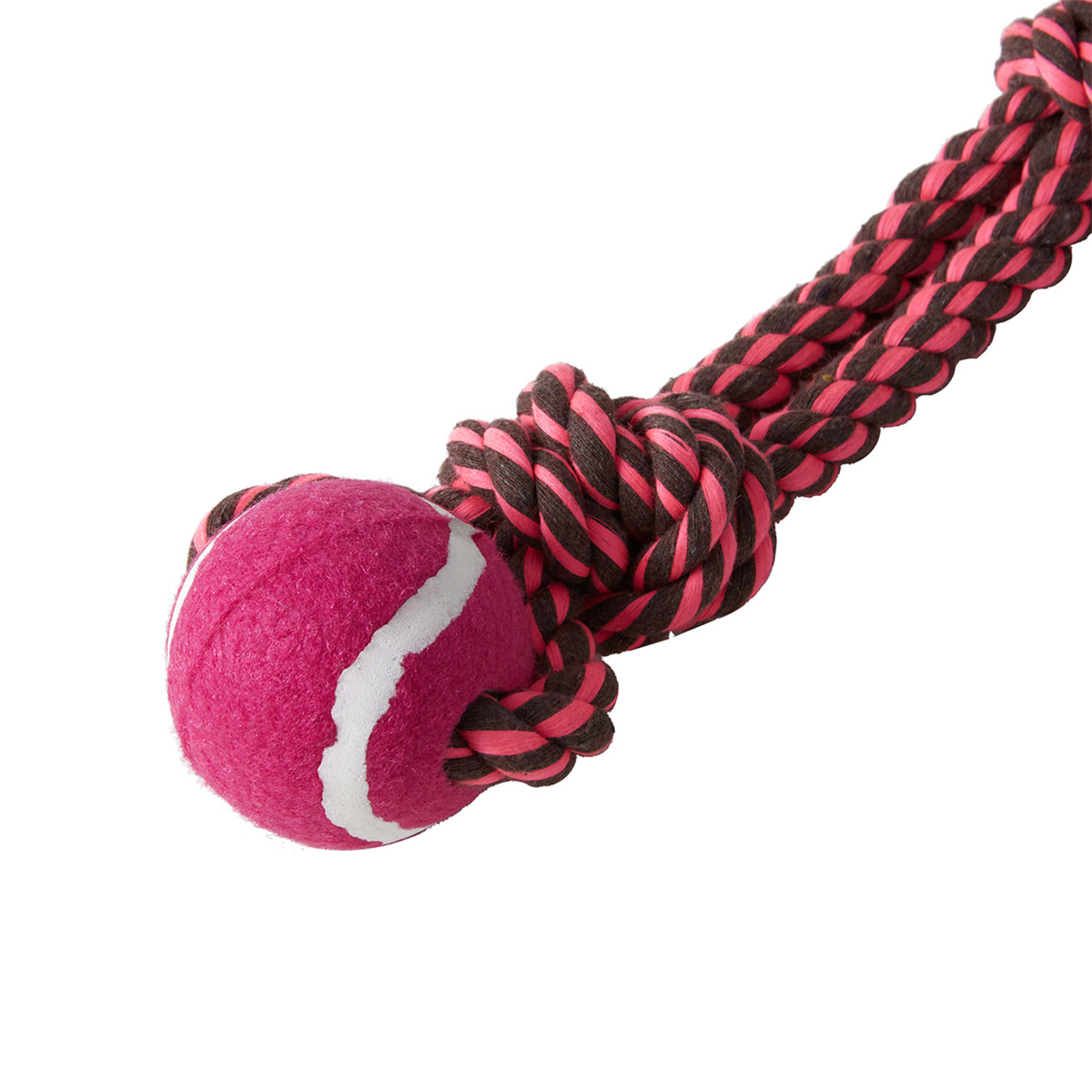 Pet Toy Rope Sling Assorted Kmart