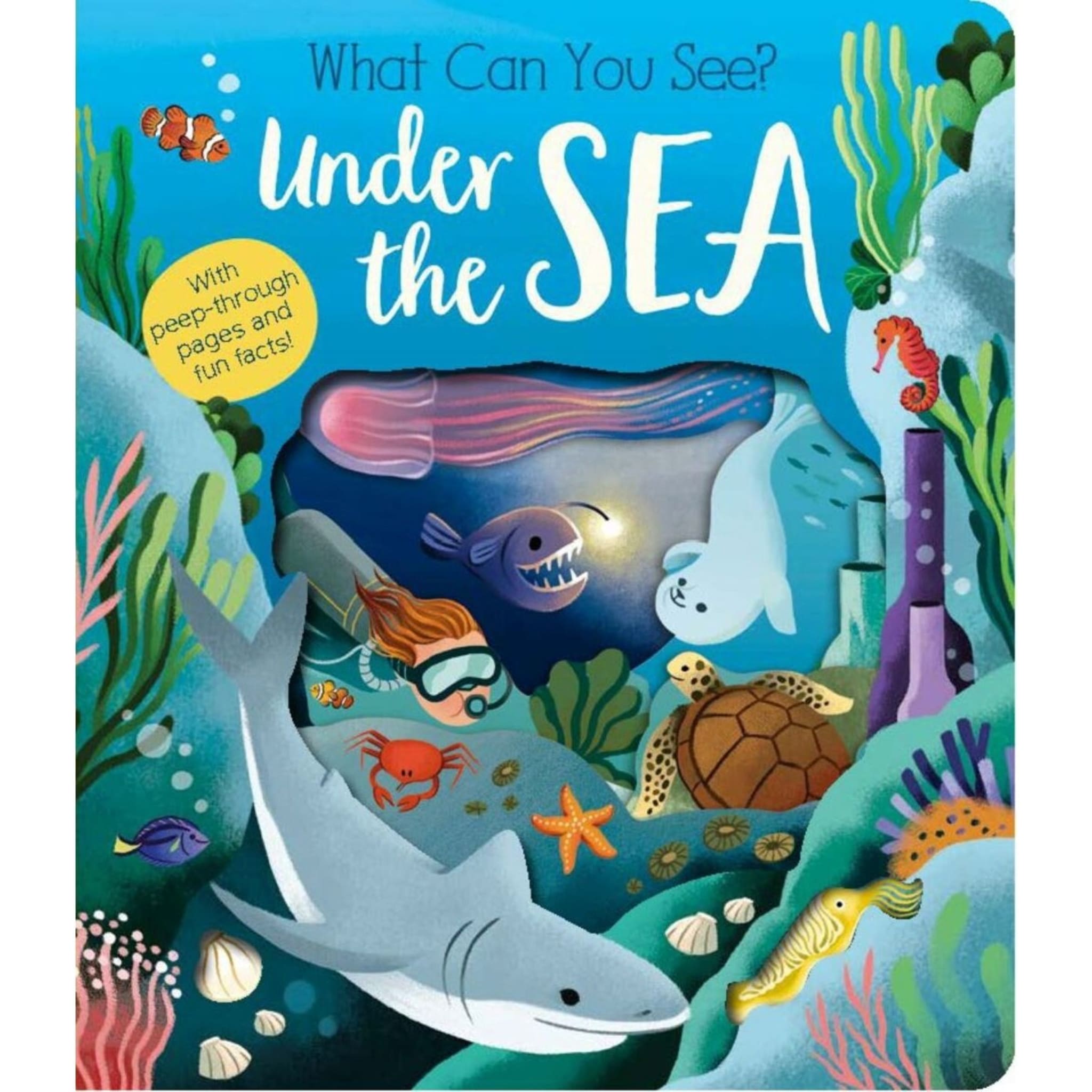 What Can You See Under the Sea? - Book - Kmart