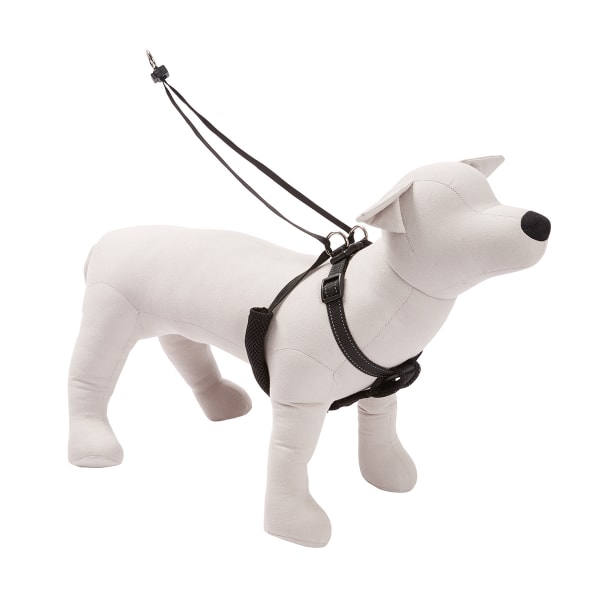 how do non pull dog harnesses work