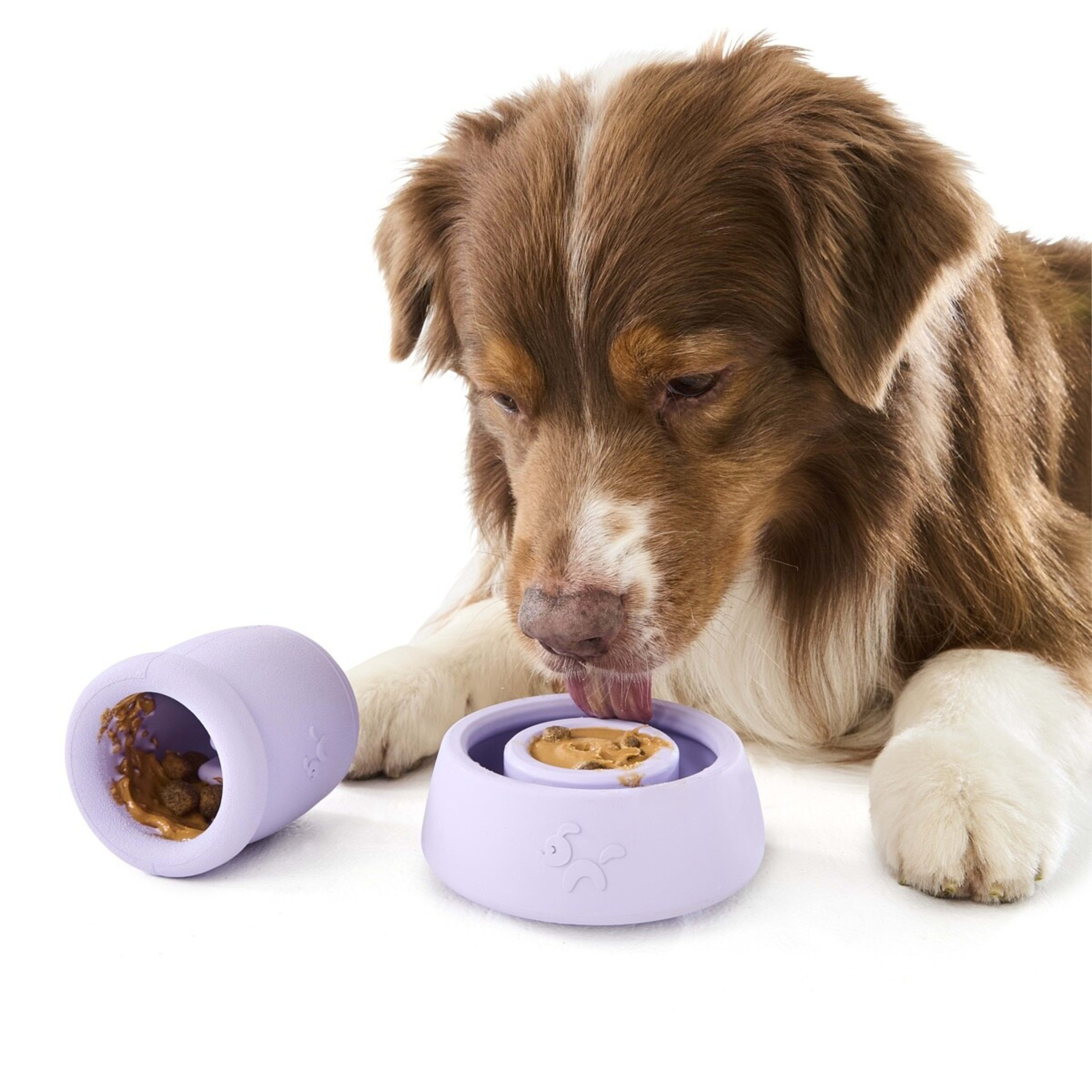 1 2 Pack Pet Rubber Treat Chew - Lilac, 1 of 9