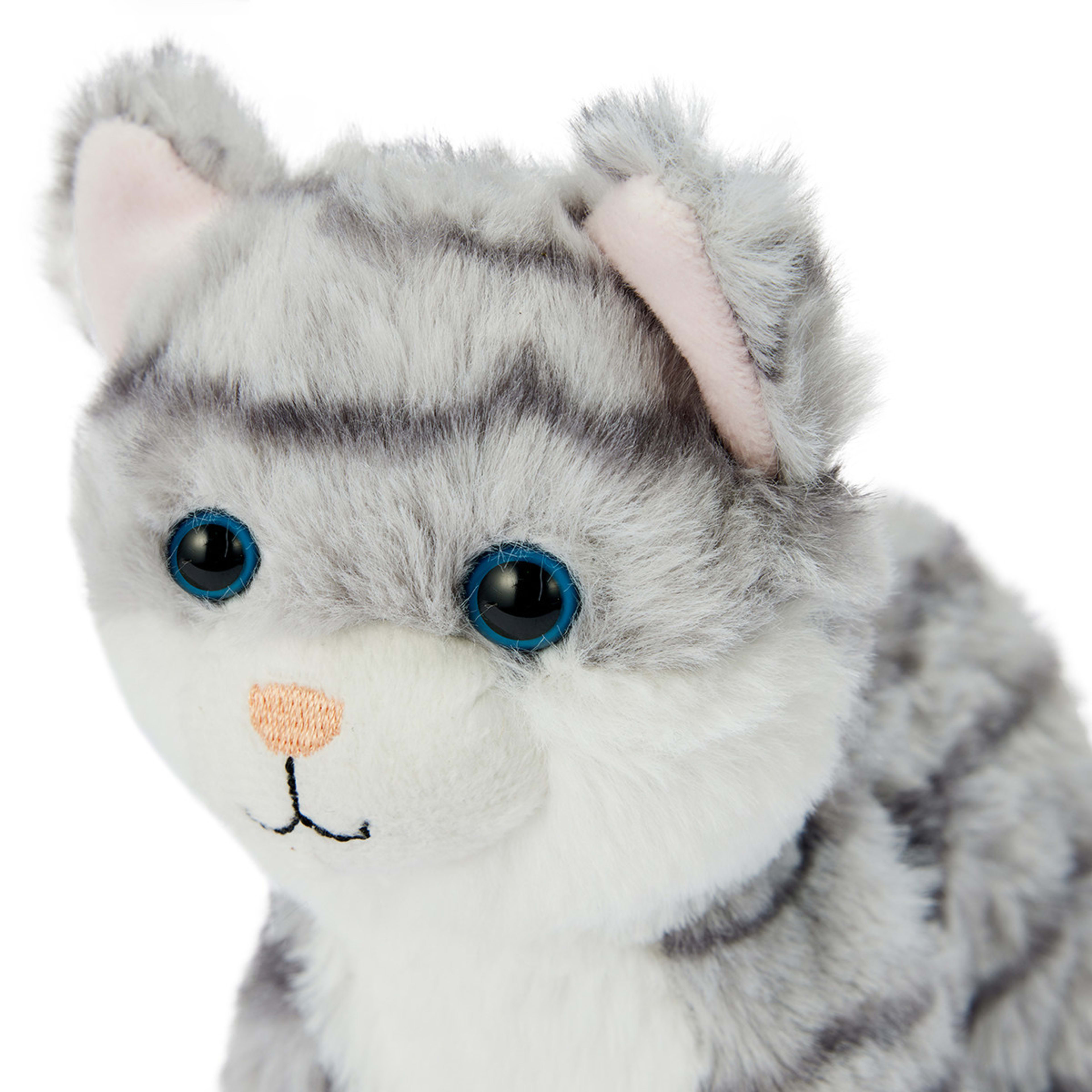 Walking Pet Assorted Kmart