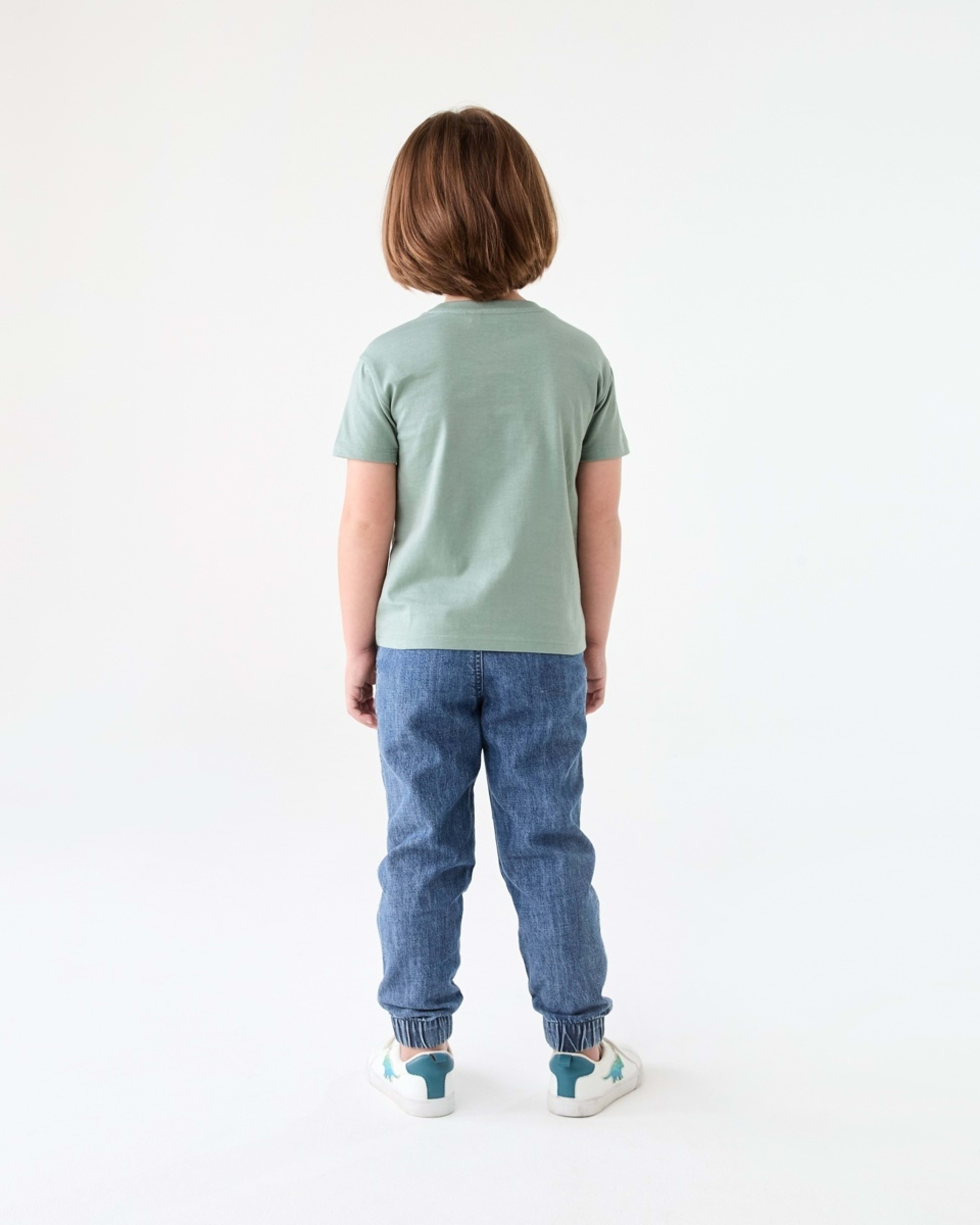 6 Chest Print T-shirt DINOTOPIA CHINOIS GREEN, 6 of 6