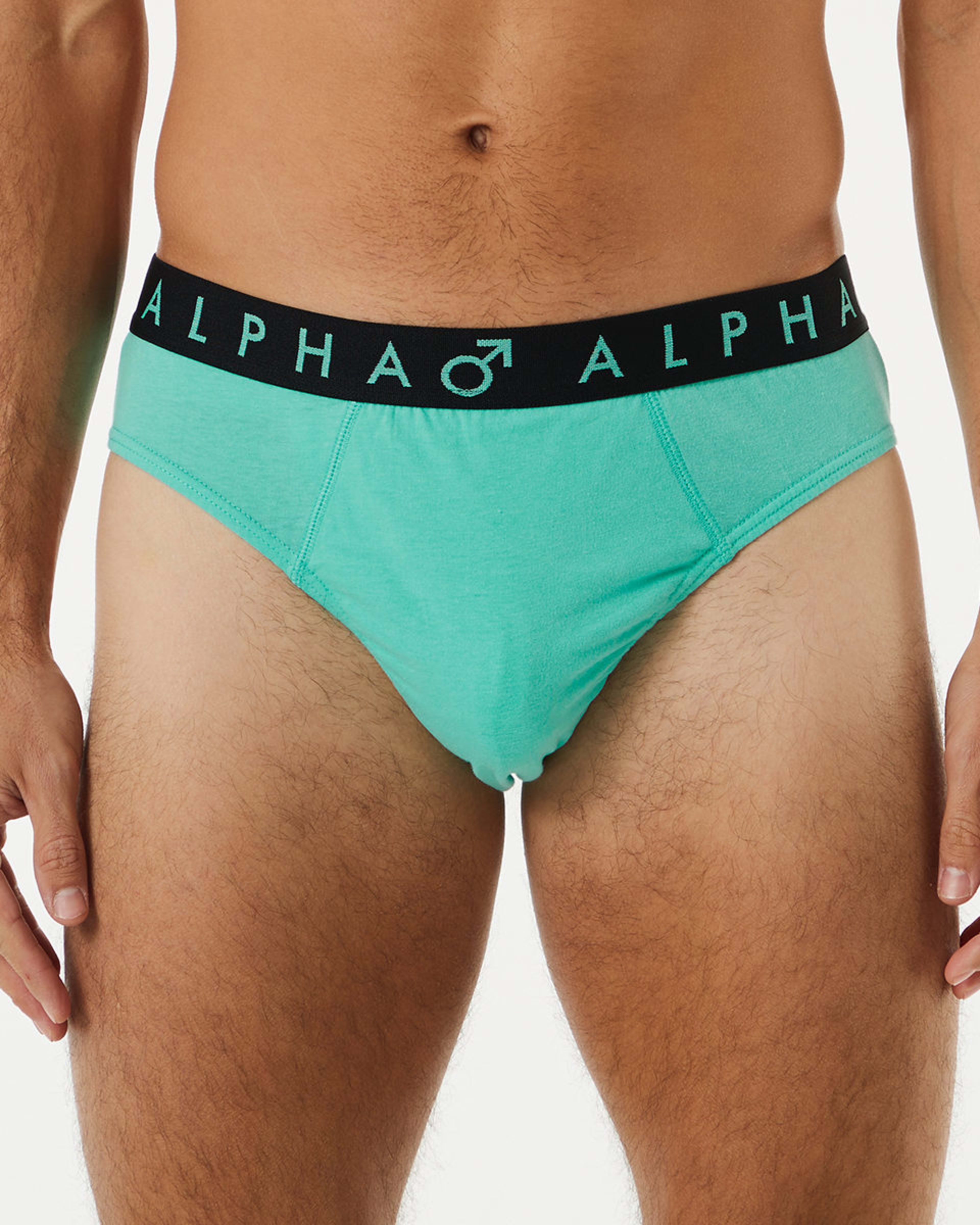 6 5 Pack Attached Elastic Hipster Briefs PRIMARY MULTI, 6 of 10