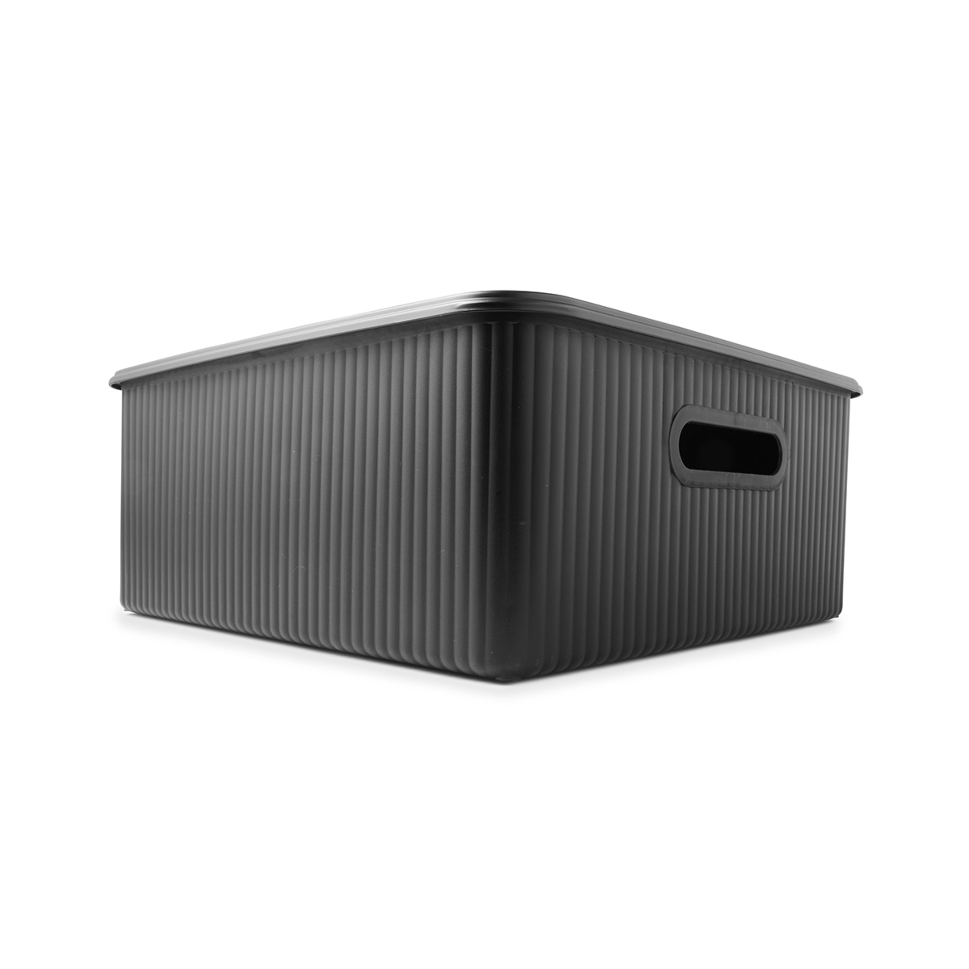 1 19L Ribbed Container - Black, 1 of 10