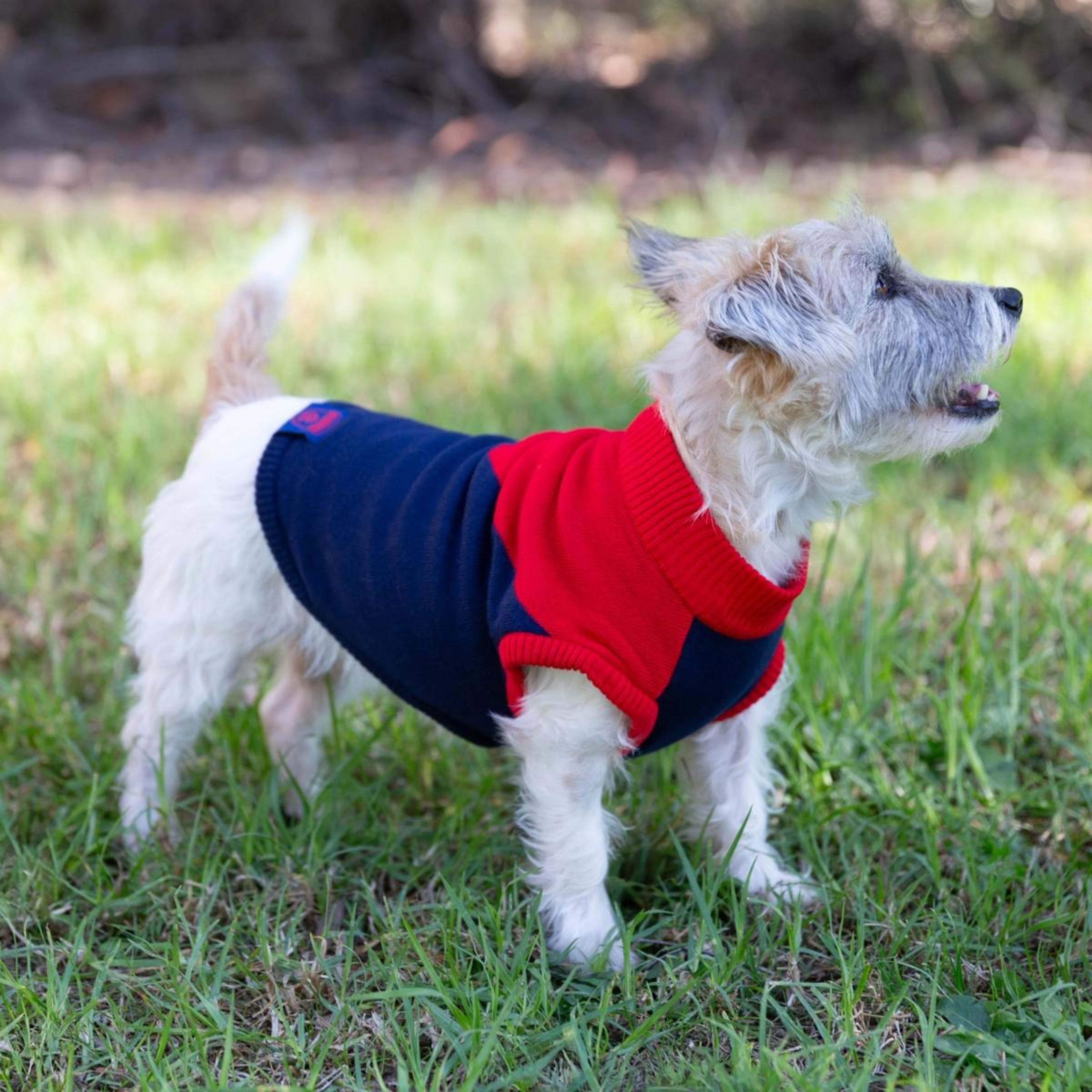 4 AFL Melbourne Demons Pet Jumper - Medium, 4 of 4