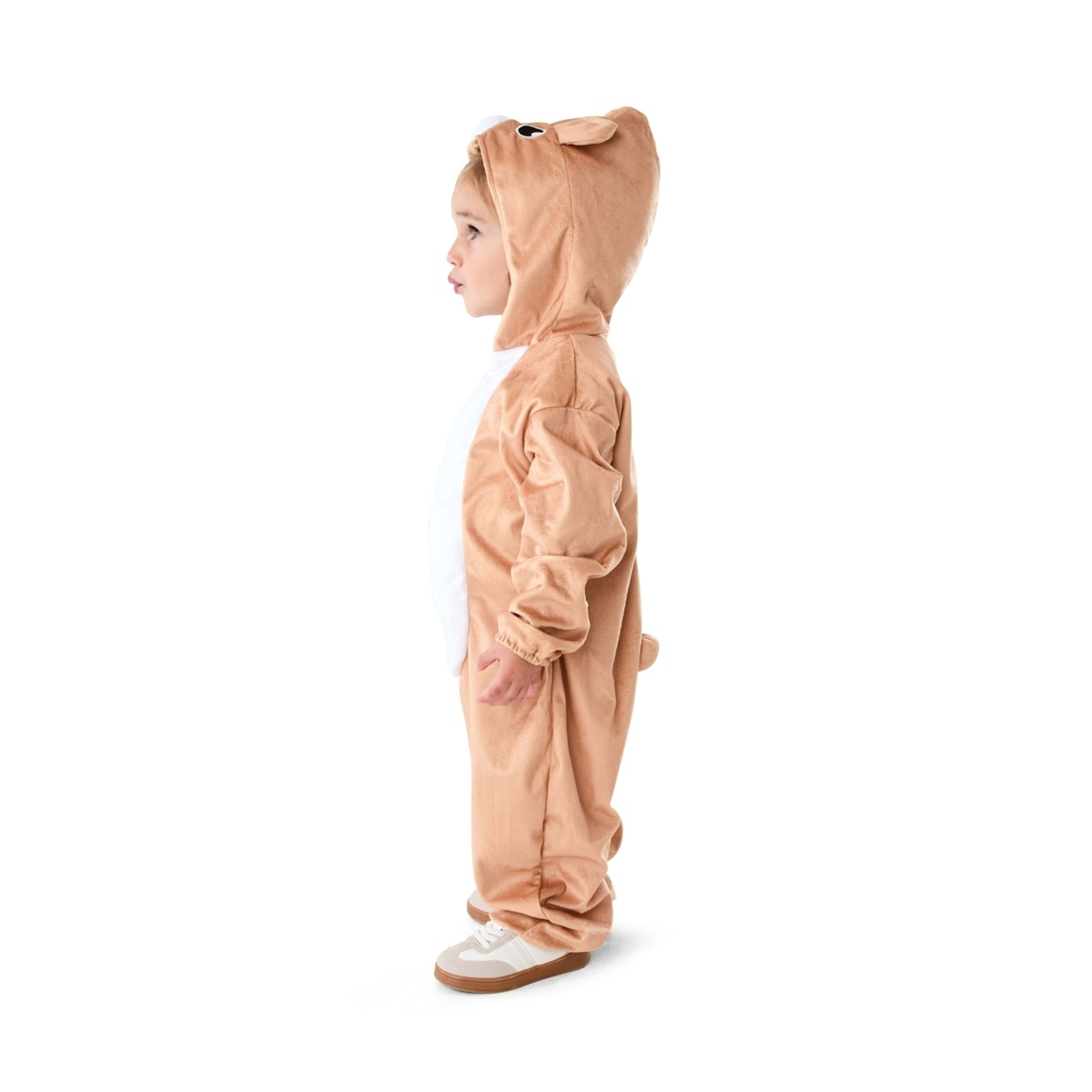 3 Bear Costume - Ages 2-3, 3 of 9