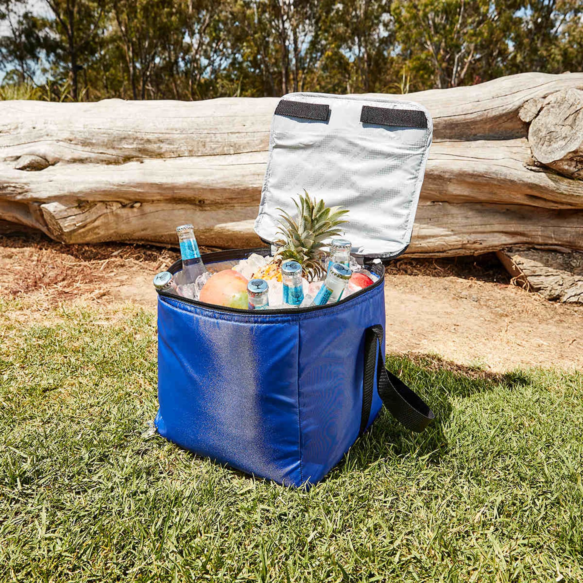 20L Collapsible Cooler Assorted Kmart