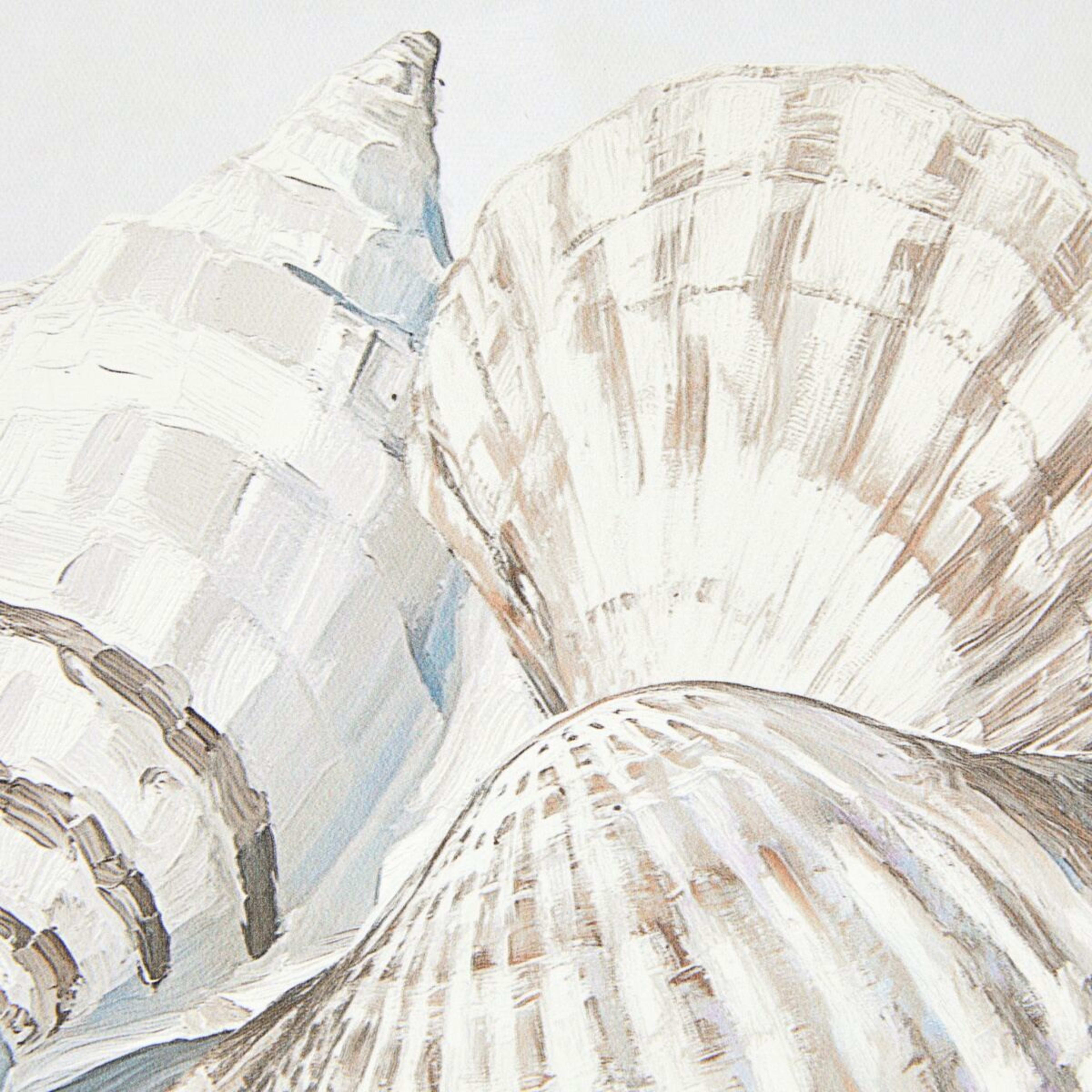 3 Shells Framed Canvas, 3 of 5