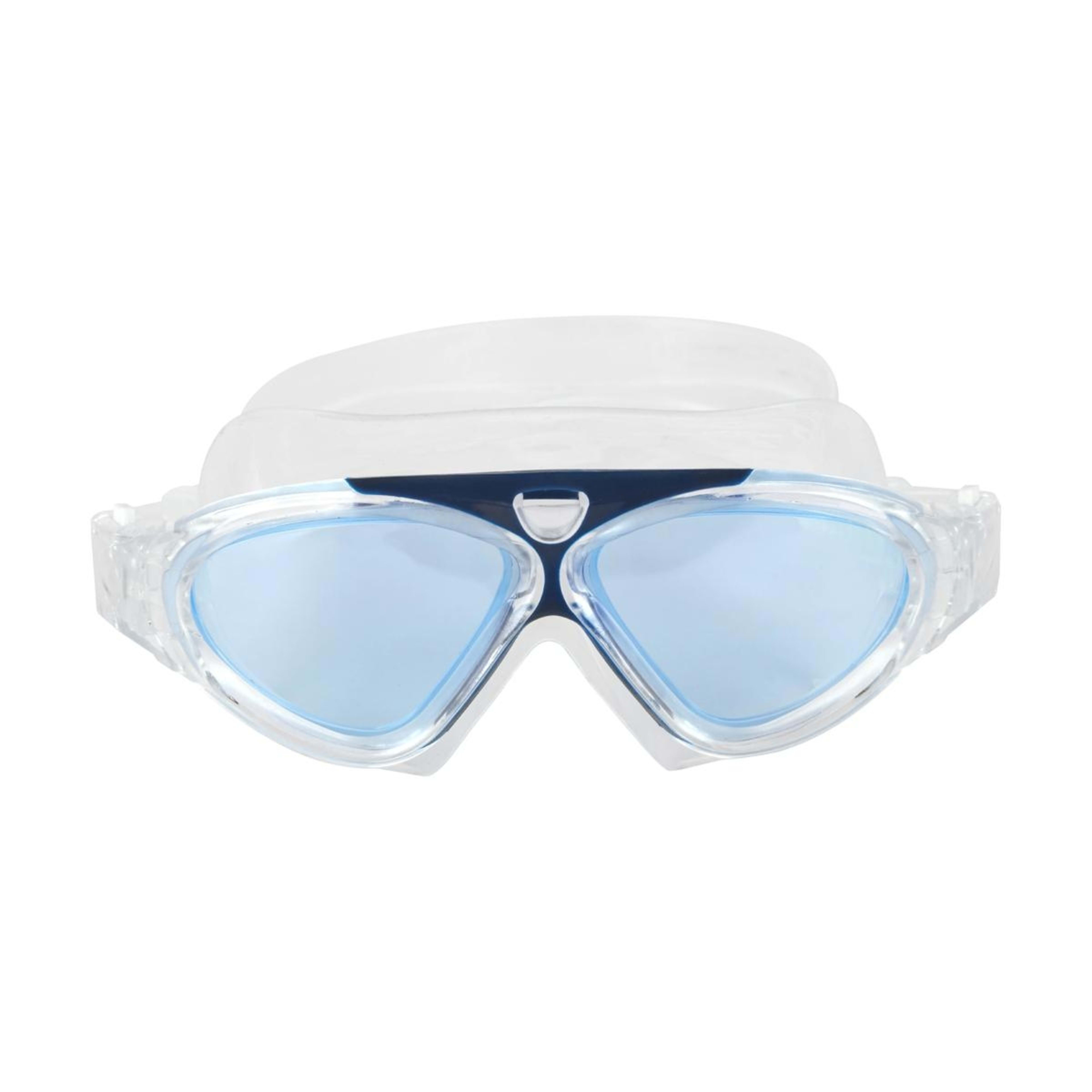 1 Panoramic Goggles